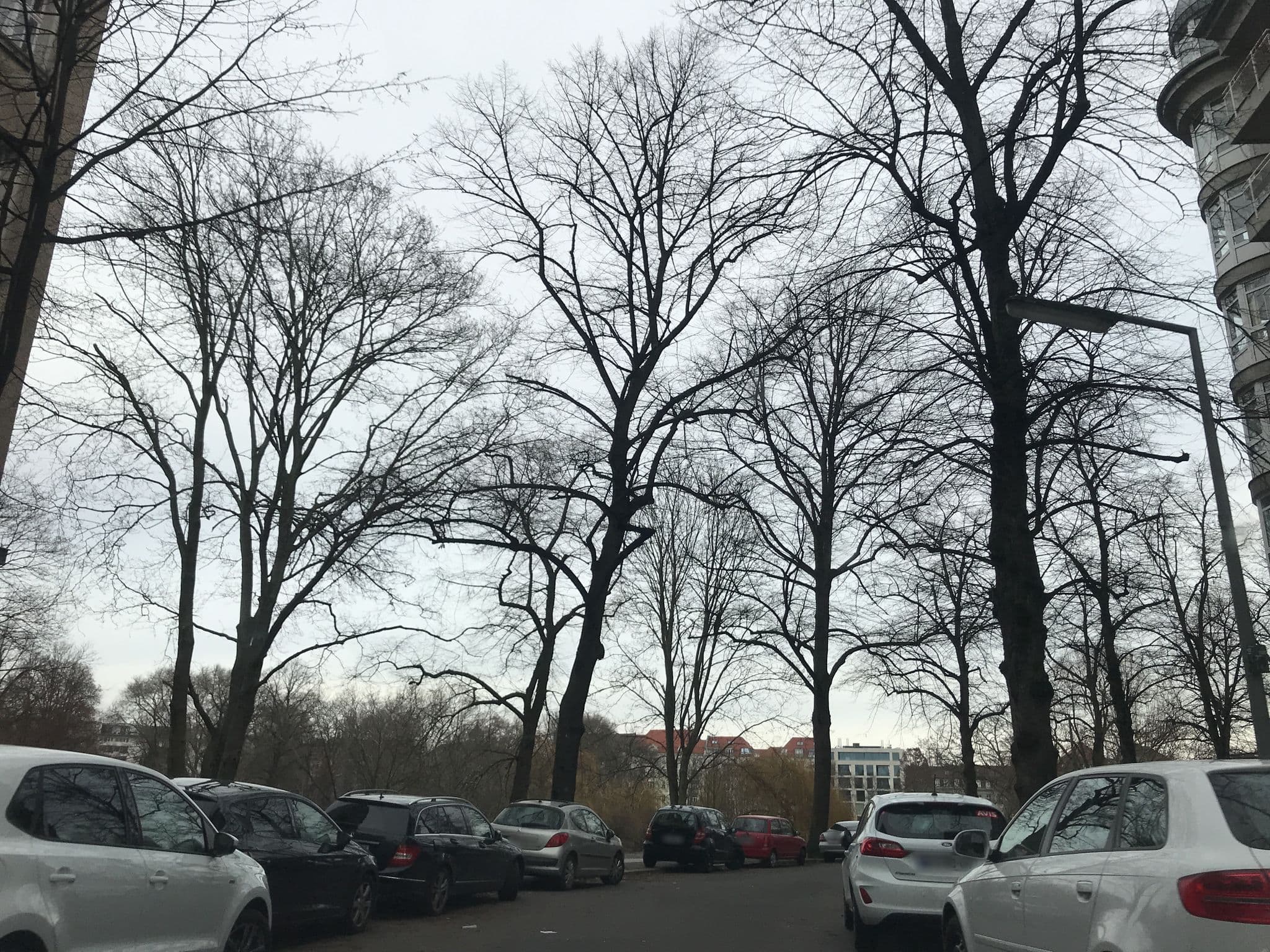 Street view near Belle Etage, Charlottenburg — © tb4711 (CC BY-SA · Mapillary)