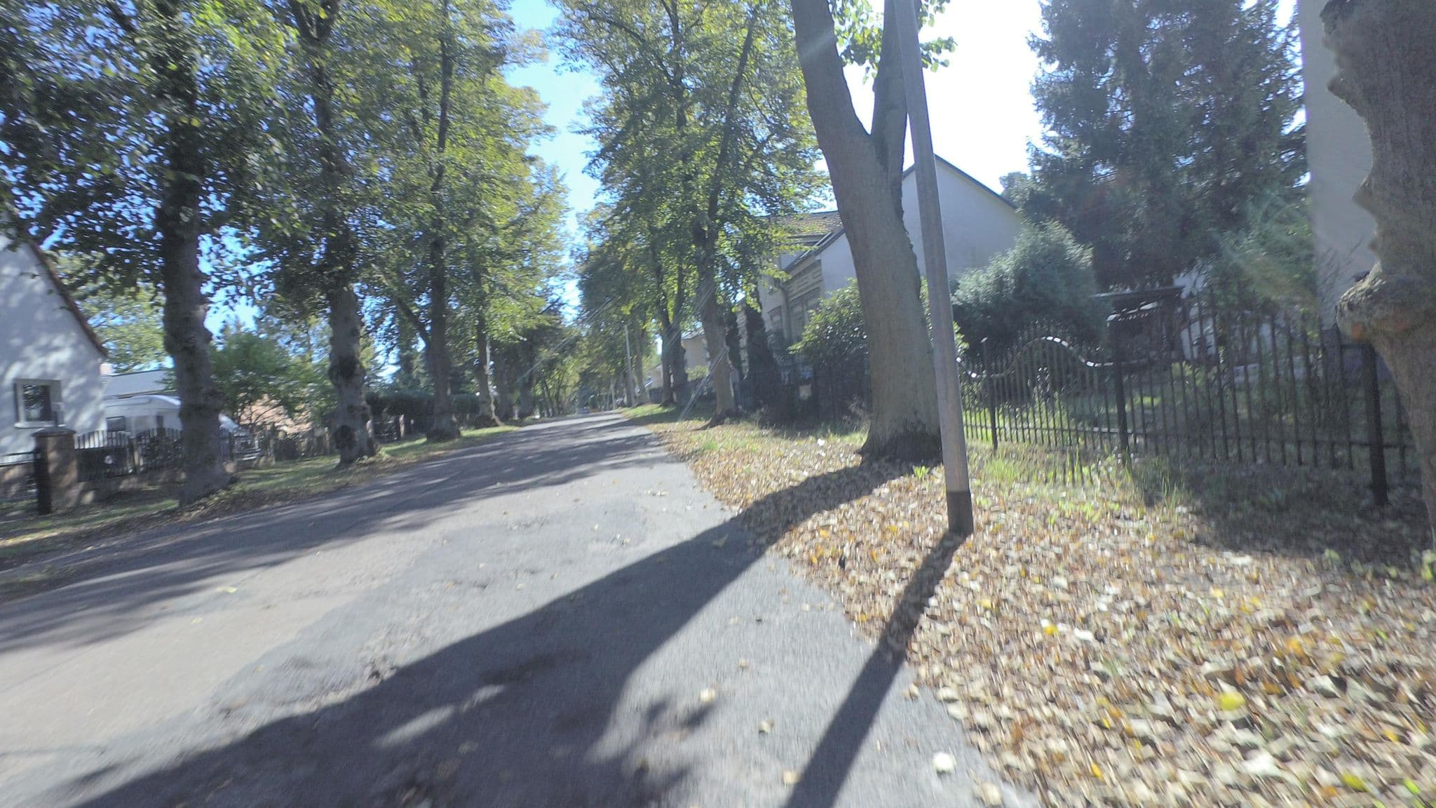 Street view near Zimmervermietung Bobzien, Rangsdorf — © britiger (CC BY-SA · Mapillary)