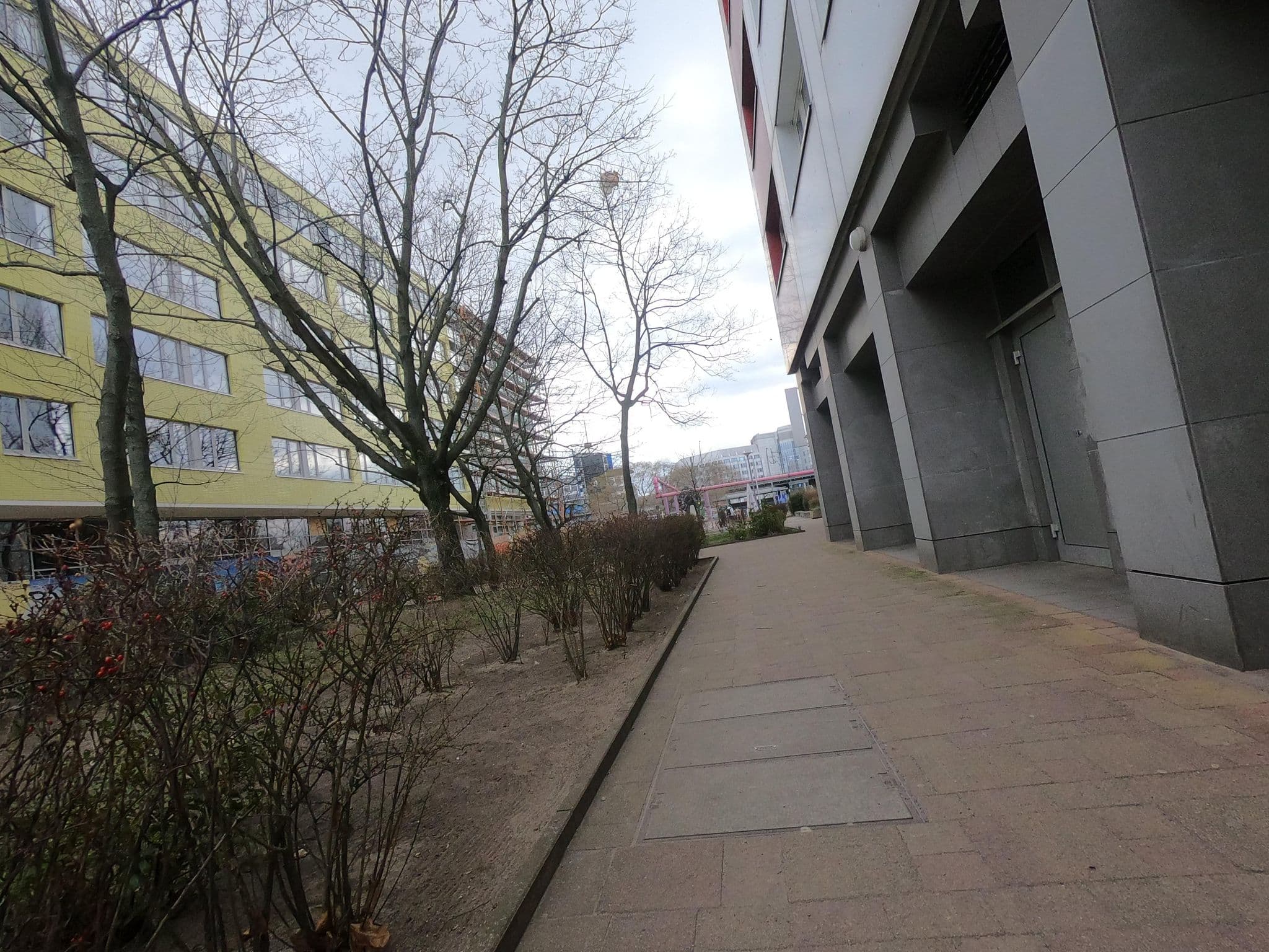 Street view near Violet am Alexanderplatz, Mitte — © carlheinz (CC BY-SA · Mapillary)