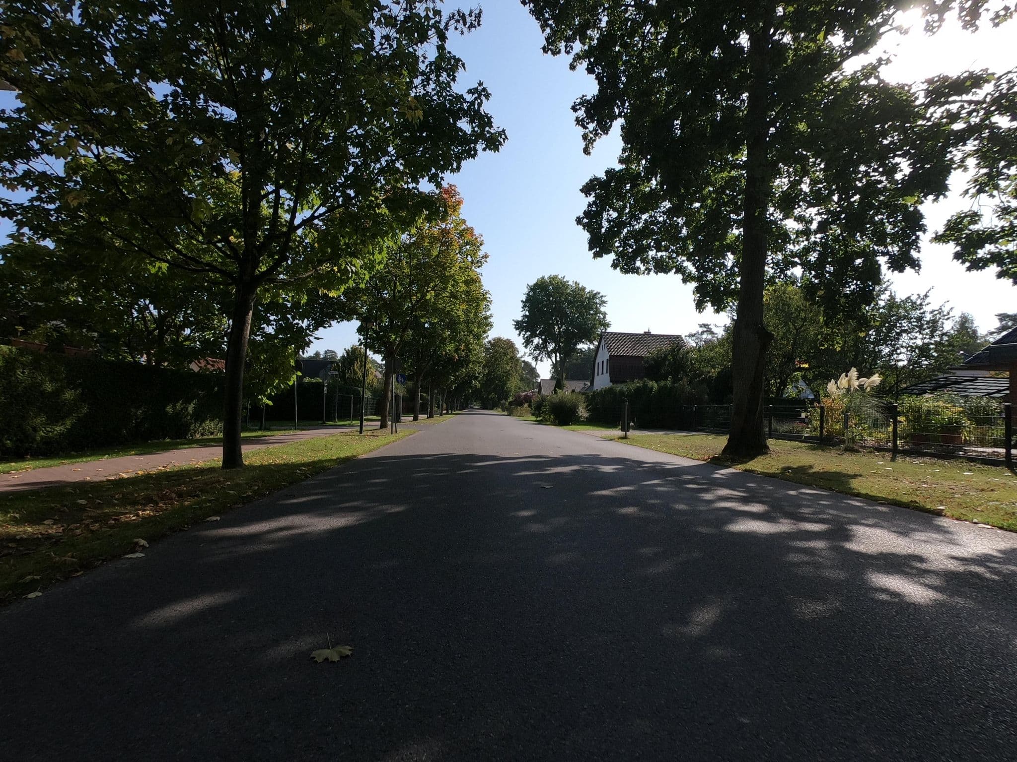 Street view near Rubi Rosa, Wandlitz — © carlheinz (CC BY-SA · Mapillary)