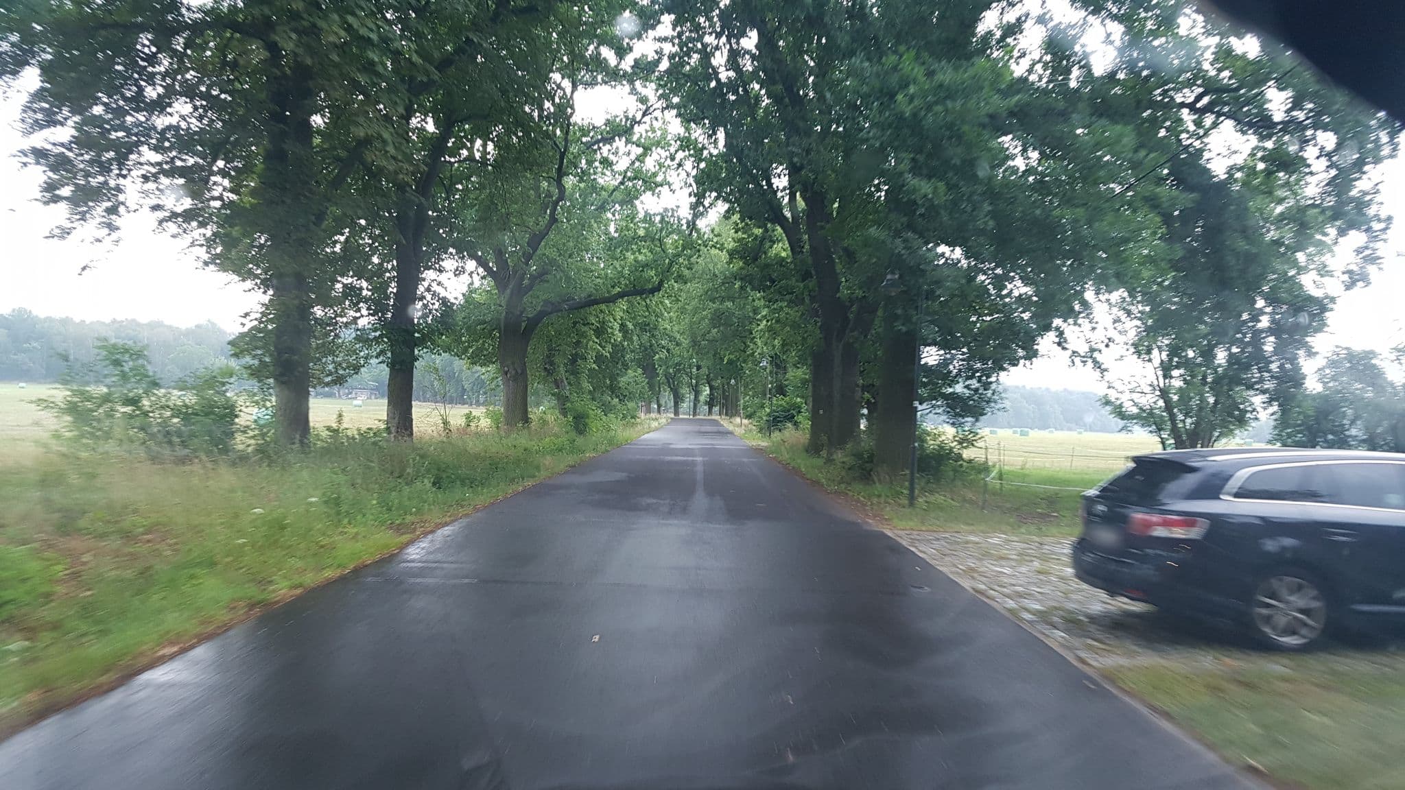 Street view near Eichenhof Hotel Garni, Groß Köris — © dsmm (CC BY-SA · Mapillary)