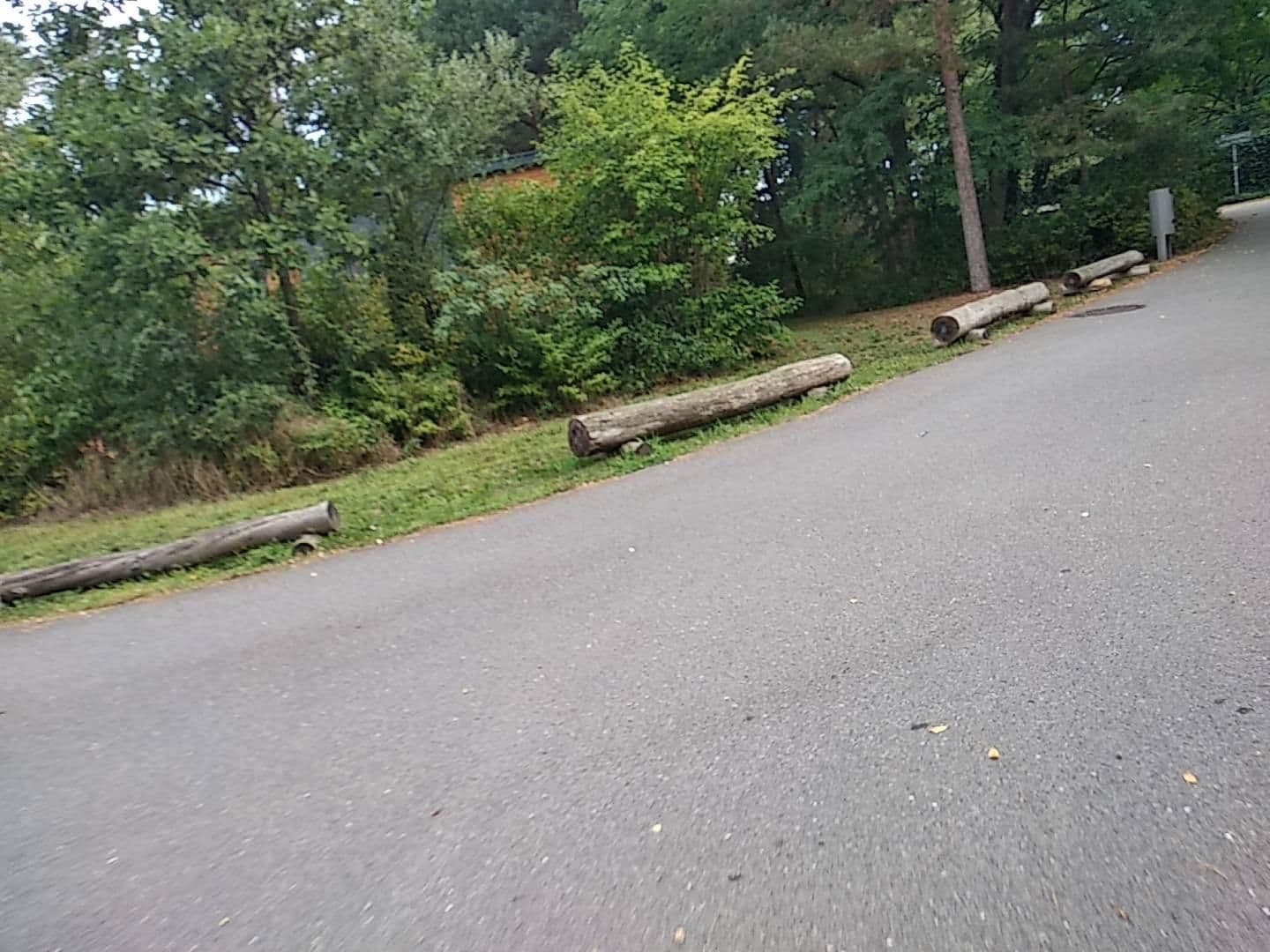 Street view near Nature Homes, Halbe — © mbit (CC BY-SA · Mapillary)