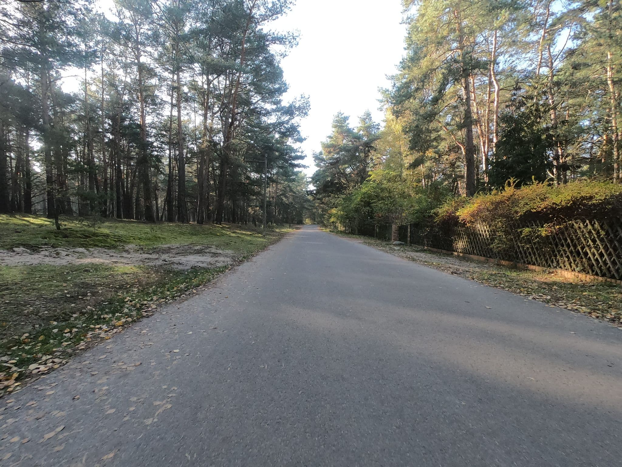 Street view near Fewoamglubigsee, Wendisch Rietz — © carlheinz (CC BY-SA · Mapillary)