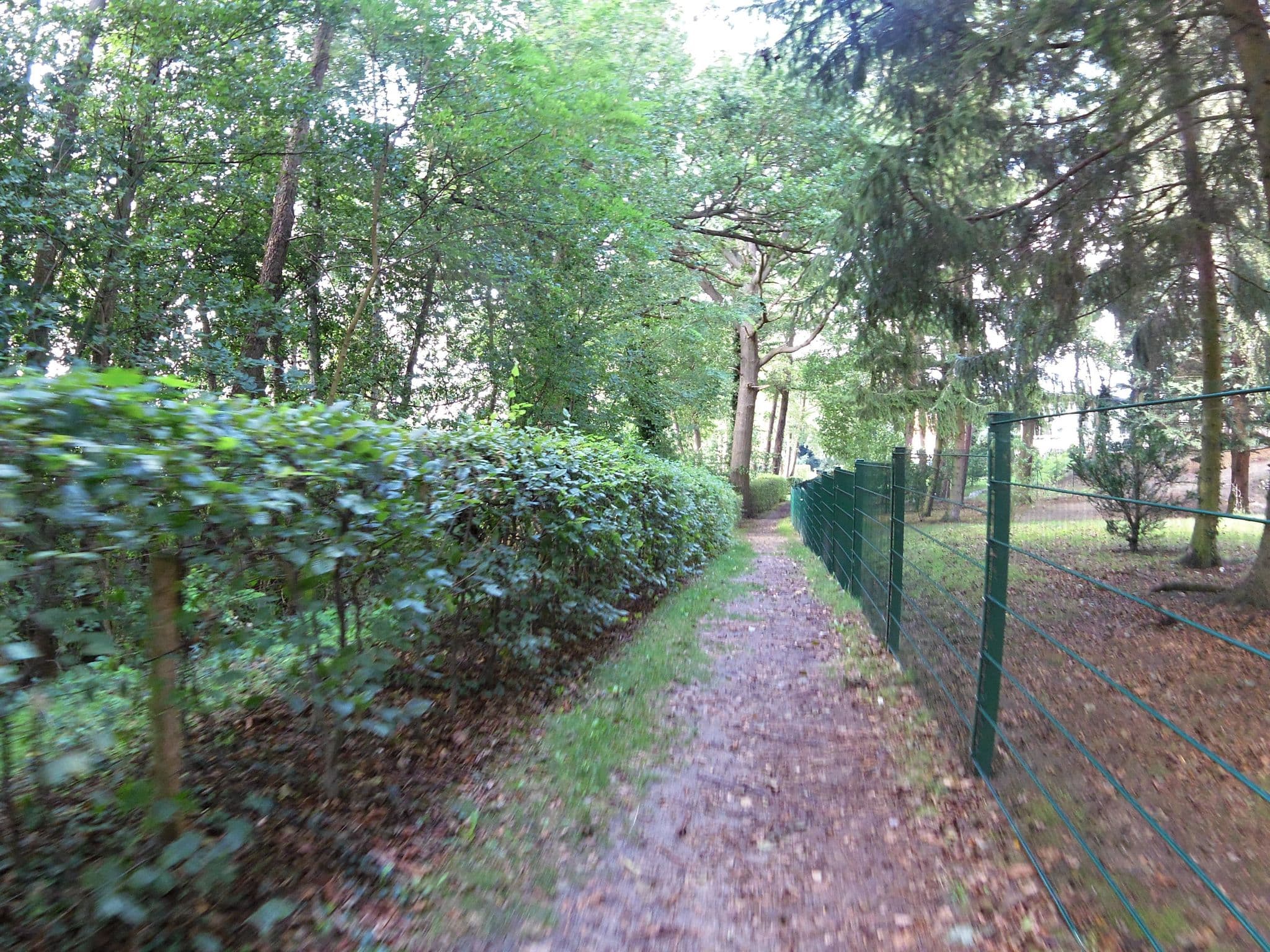 Street view near Dietz Klaus Dieter Ferienbungalows am StorkowerSee, Storkow — © zoegglmeyr1 (CC BY-SA · Mapillary)