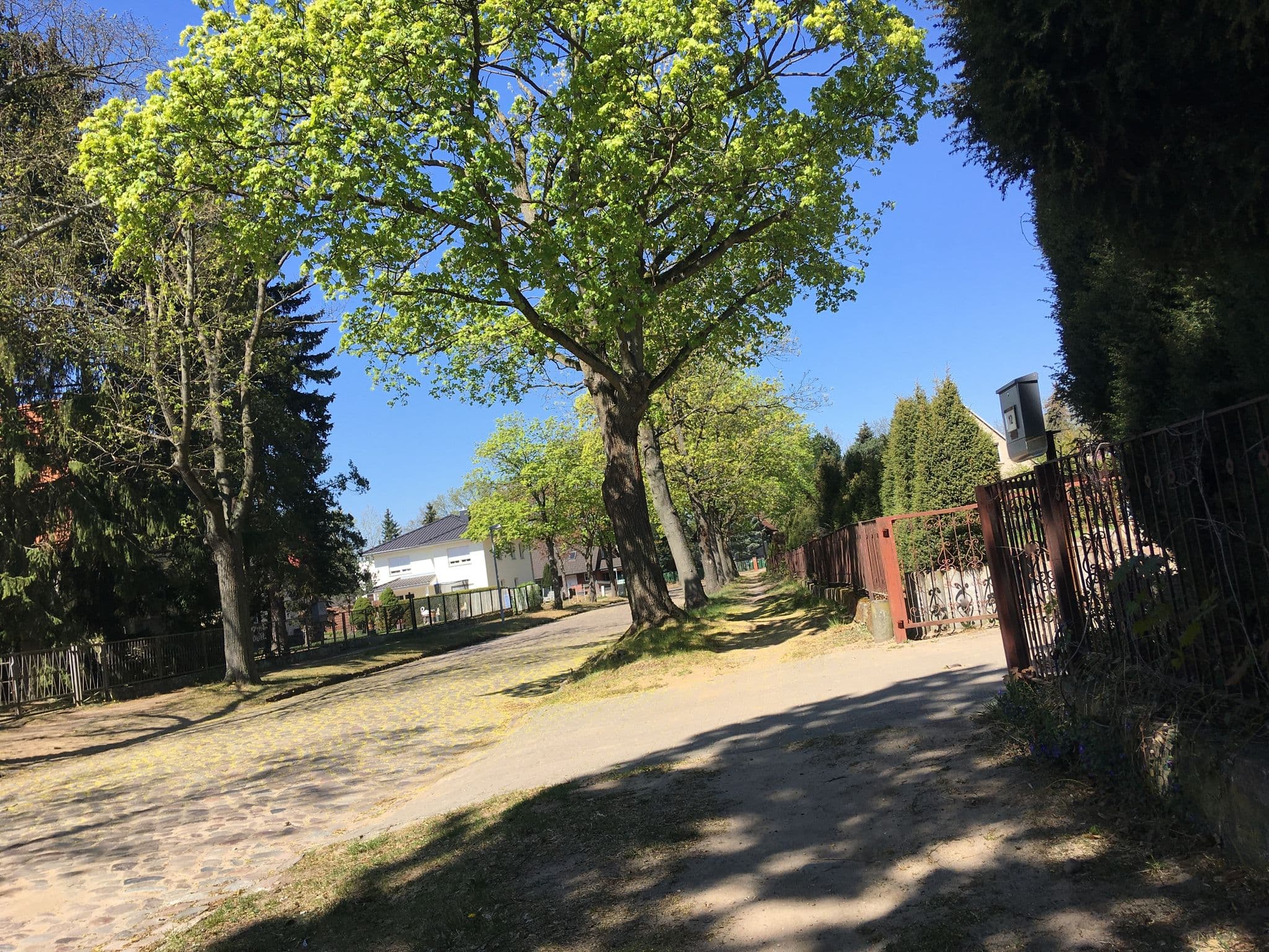 Street view near ICW Immobilien GmbH, Buch — © carlheinz (CC BY-SA · Mapillary)