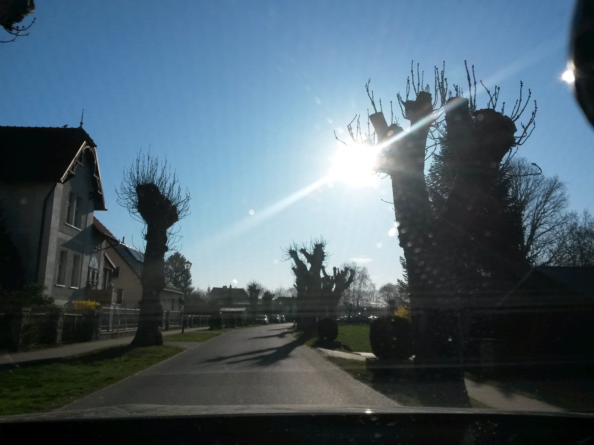 Street view near Saekert Wolfgang, Waldsieversdorf — © uwekoch (CC BY-SA · Mapillary)