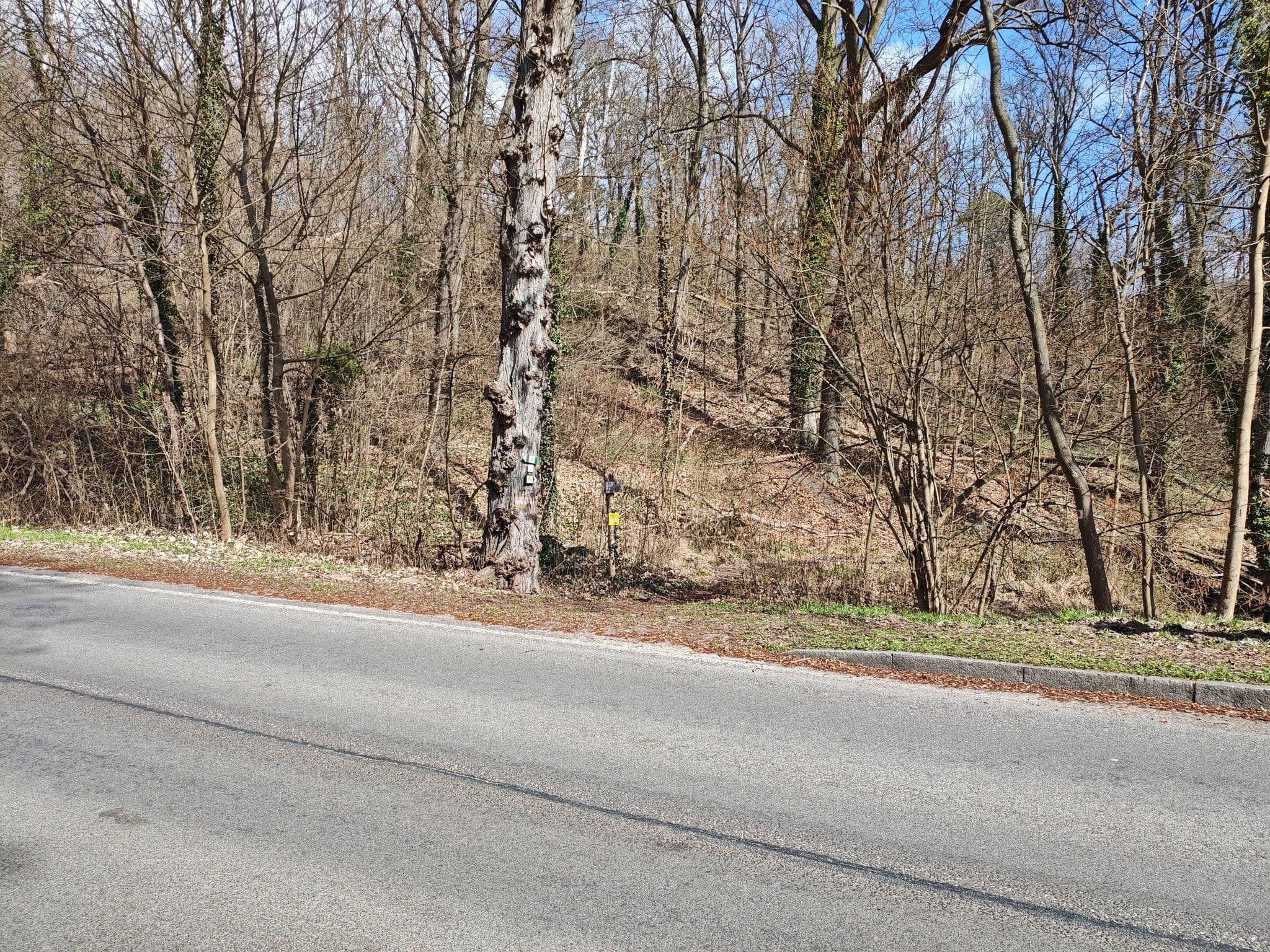 Street view near Haus Tirol, Waldsieversdorf — © ber319 (CC BY-SA · Mapillary)