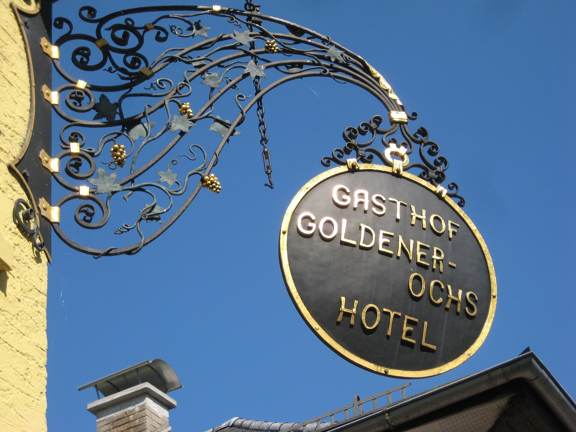 Goldener Ochs (via Wikimedia Commons, CC BY-SA 3.0 at)