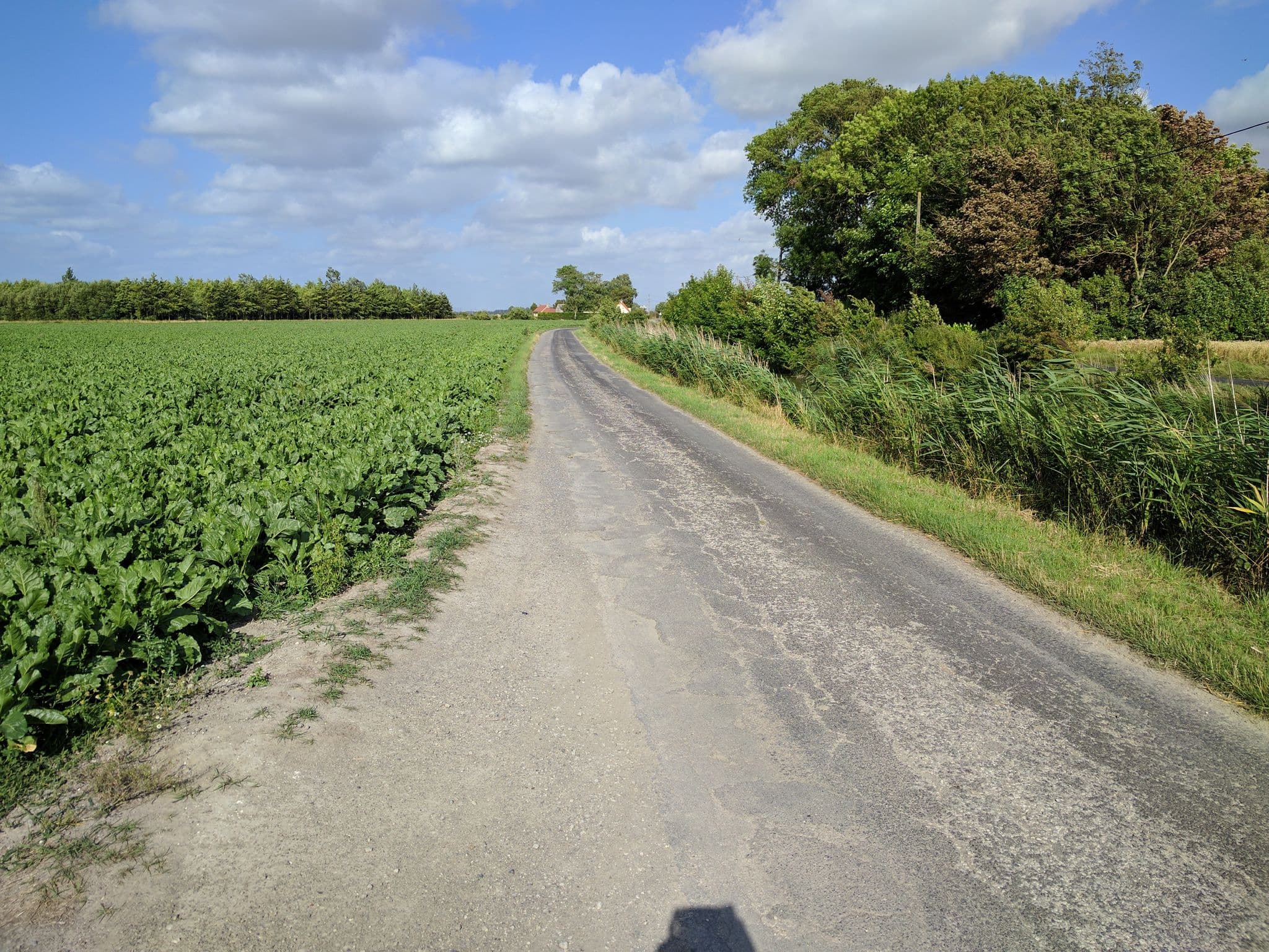 Street view near Pont d'Oye, Oye-Plage — © janvanbekkum (CC BY-SA · Mapillary)