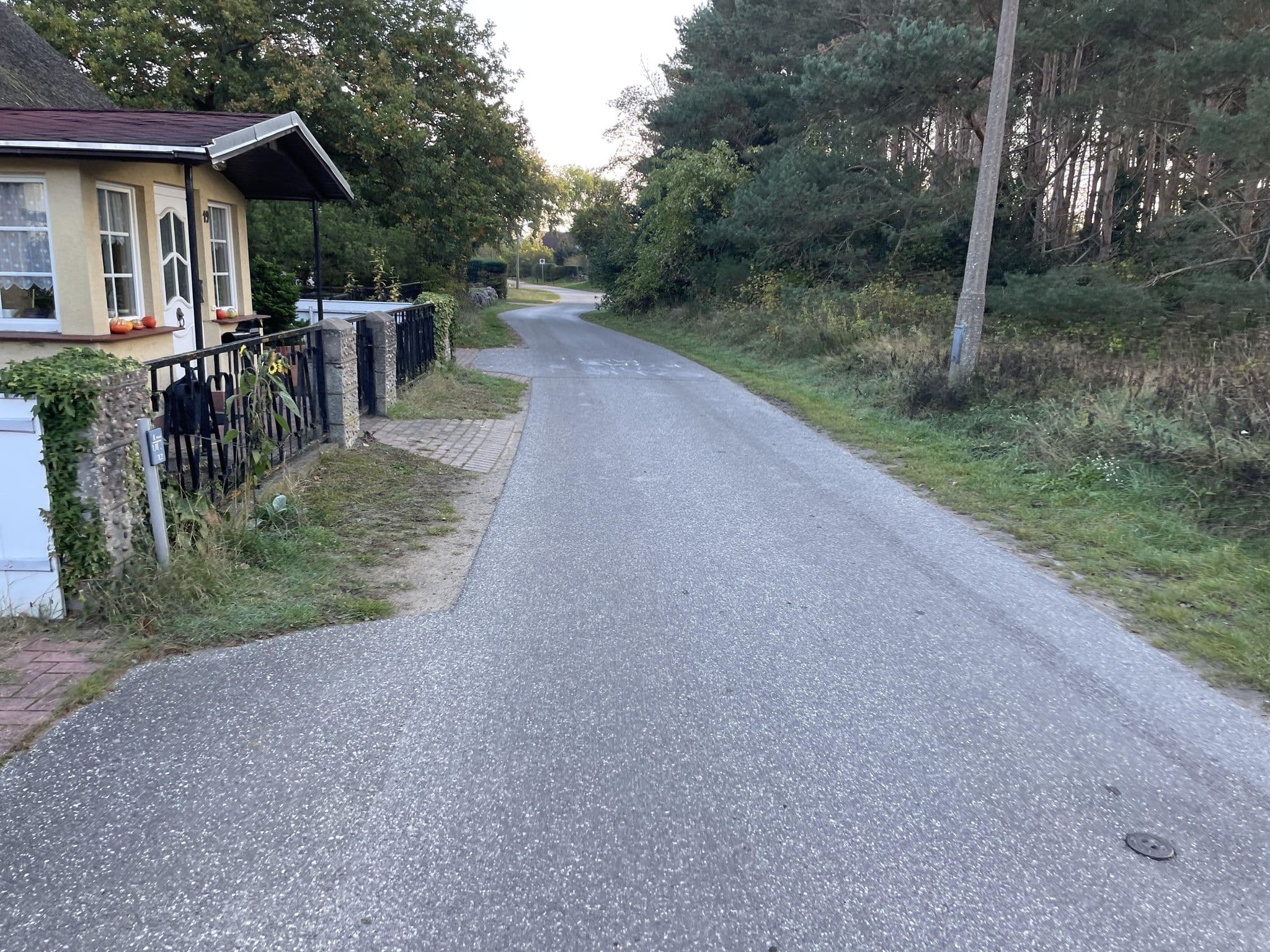 Street view near Urlaub bei Hauenstein, Born — © MausB (CC BY-SA · Mapillary)