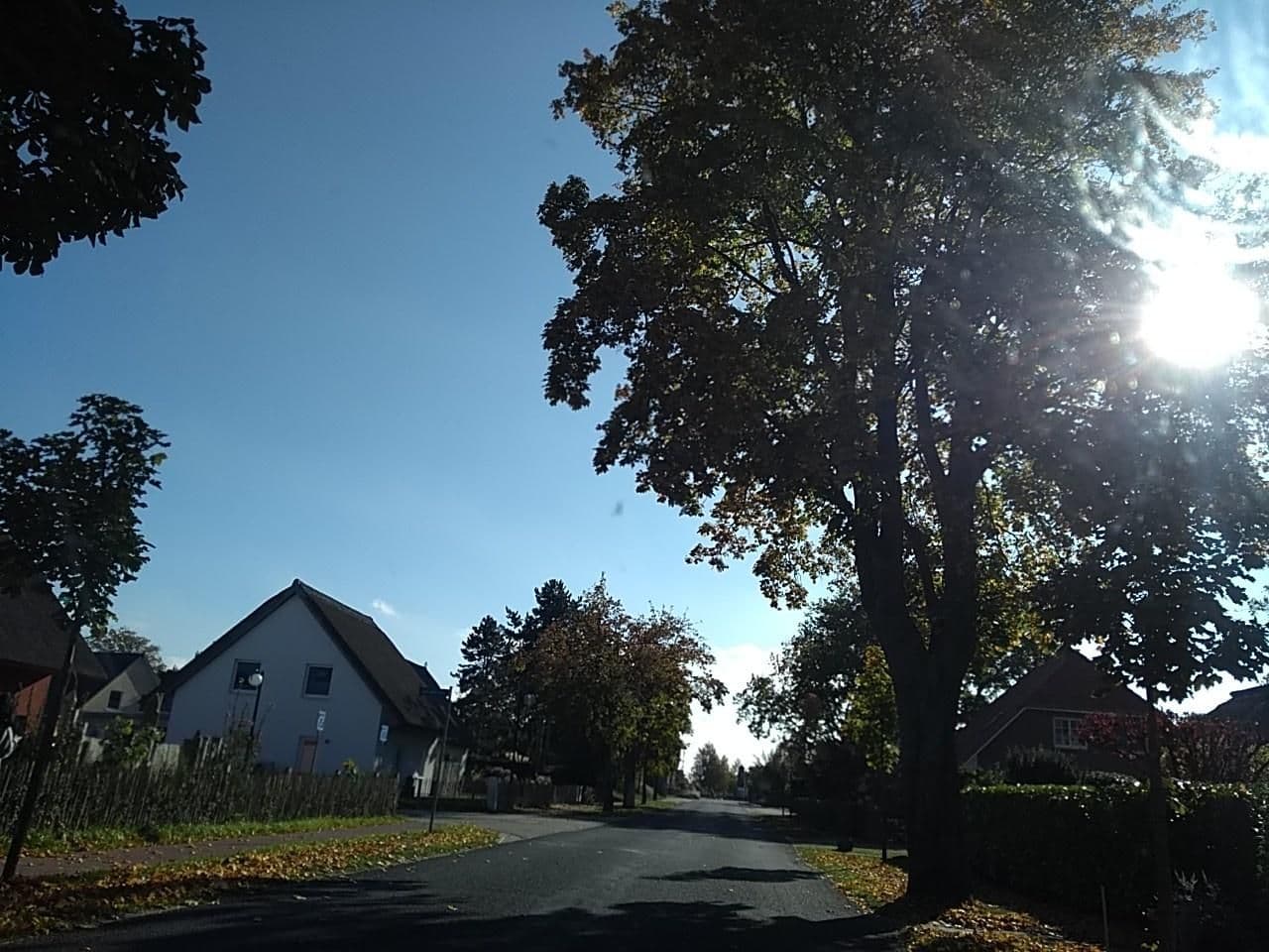 Street view near Landhaus Selma, Ostseebad Prerow — © thetornado76 (CC BY-SA · Mapillary)