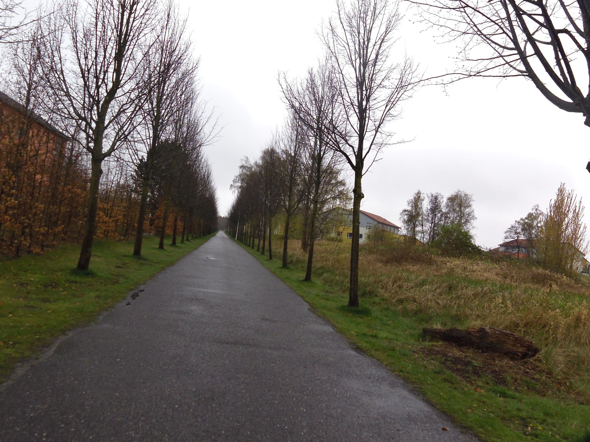 Street view near Ferienwohnungen Beck, Zingst — © zoegglmeyr (CC BY-SA · Mapillary)