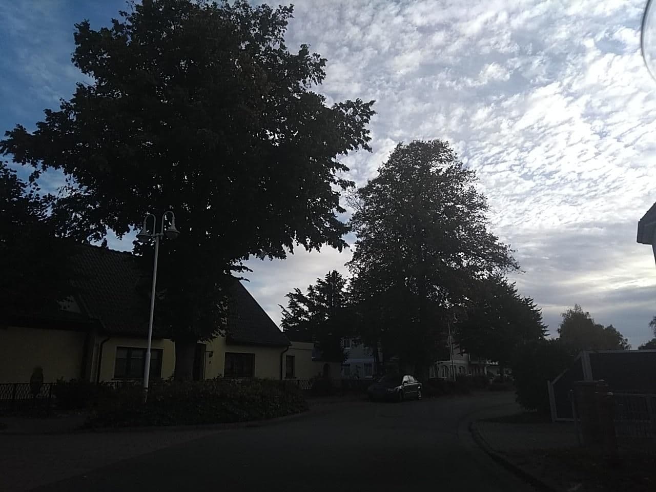 Street view near Sollinghus, Zingst — © thetornado76 (CC BY-SA · Mapillary)