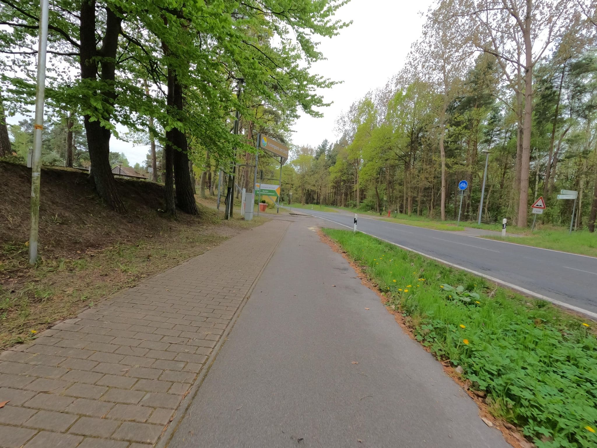 Street view near Ferienpark am Darß, Born — © hektor1989 (CC BY-SA · Mapillary)
