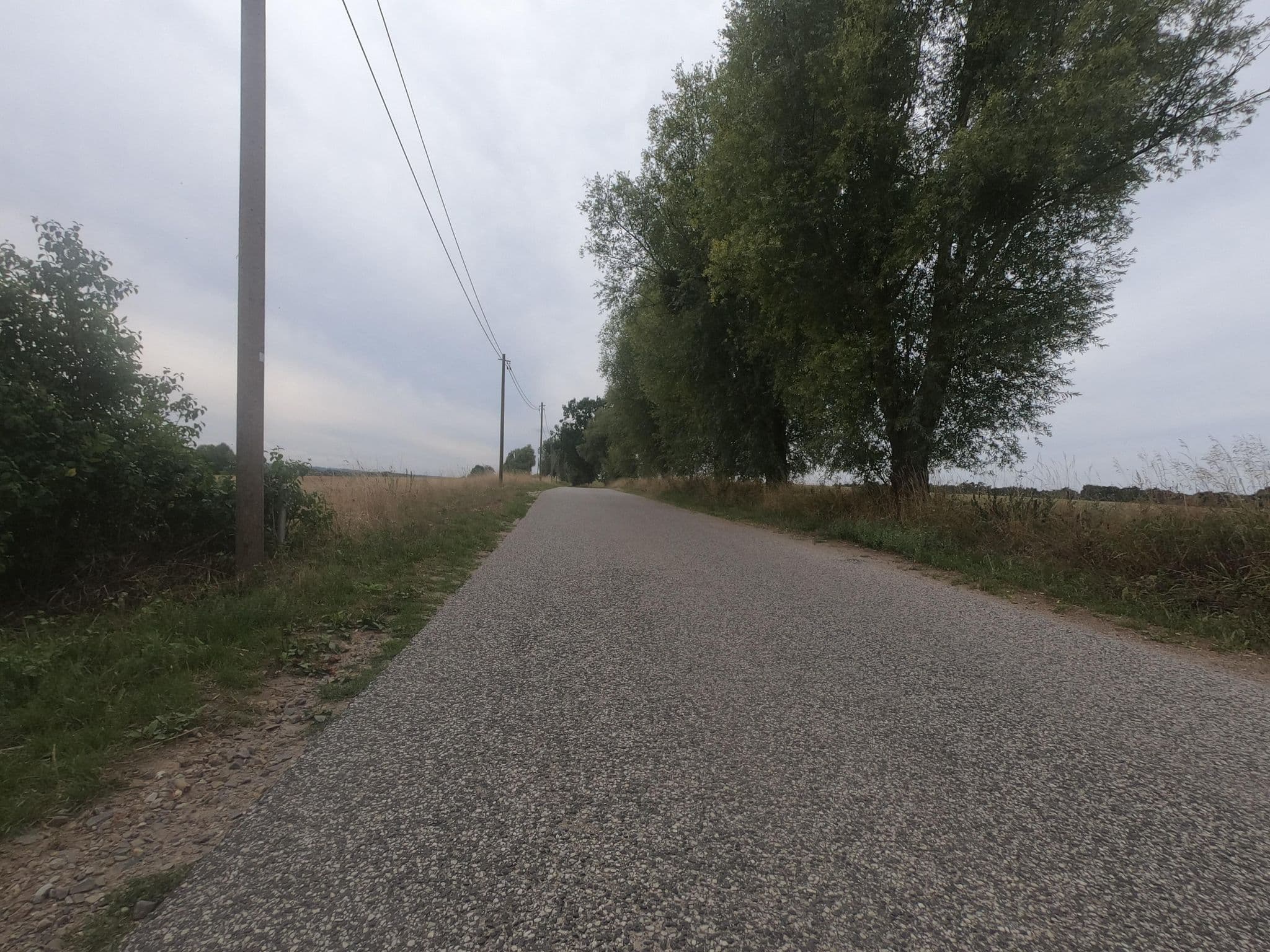 Street view near Rote Scheune, Gerswalde — © carlheinz (CC BY-SA · Mapillary)