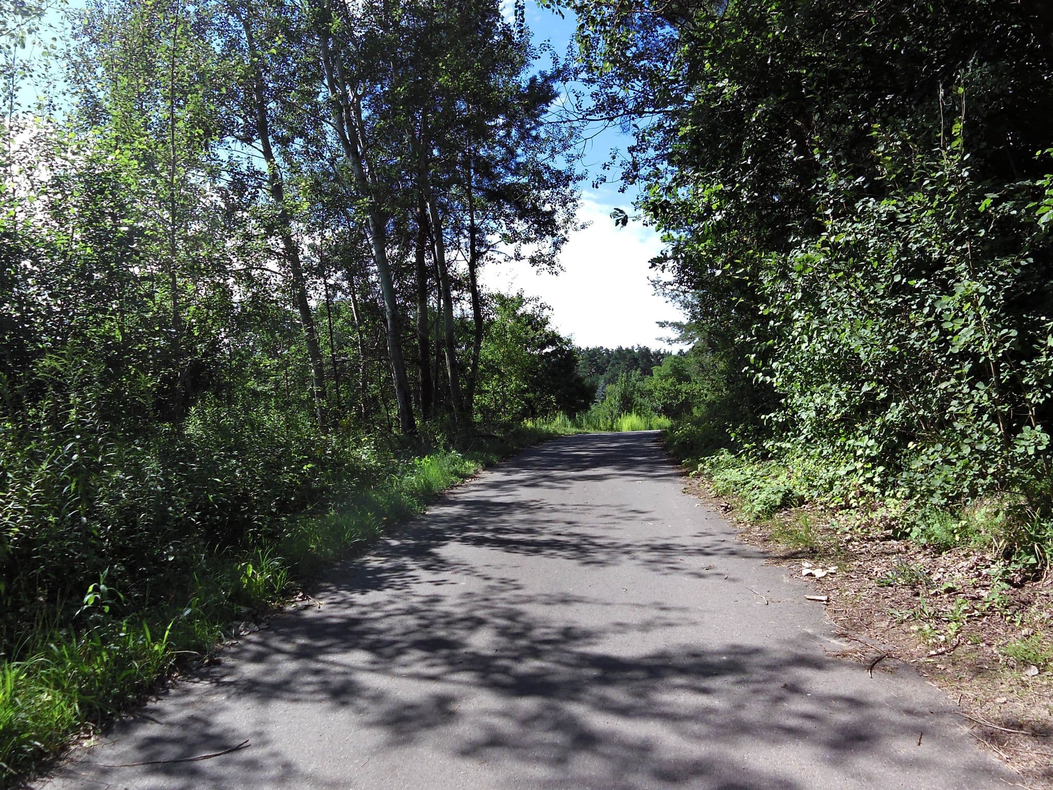 Street view near Hockauf Dirk, Lychen — © zoegglmeyr (CC BY-SA · Mapillary)
