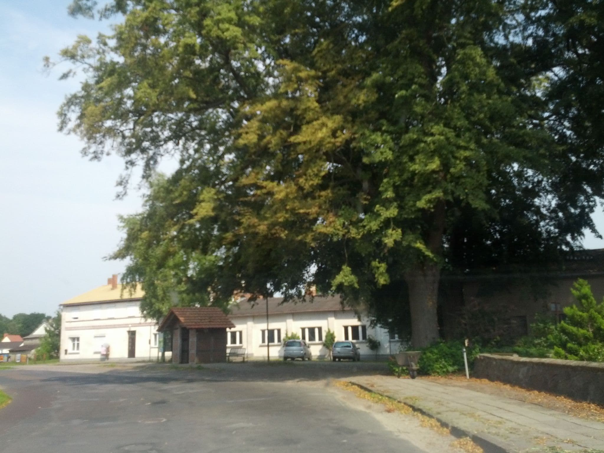 Street view near Ferienwohnungen Sansibar, Putbus — © zoegglmeyr (CC BY-SA · Mapillary)