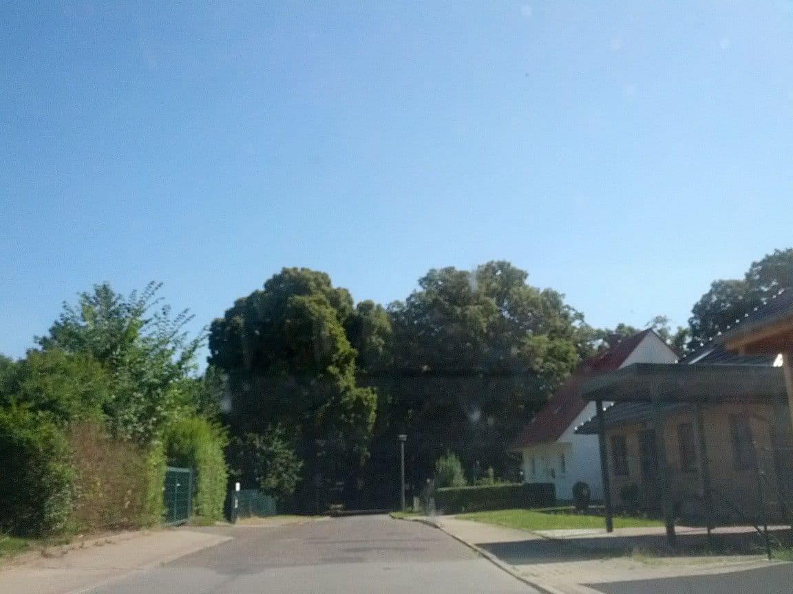 Street view near Netti´s Ferienhaus, Bergen auf Rügen — © zoegglmeyr (CC BY-SA · Mapillary)