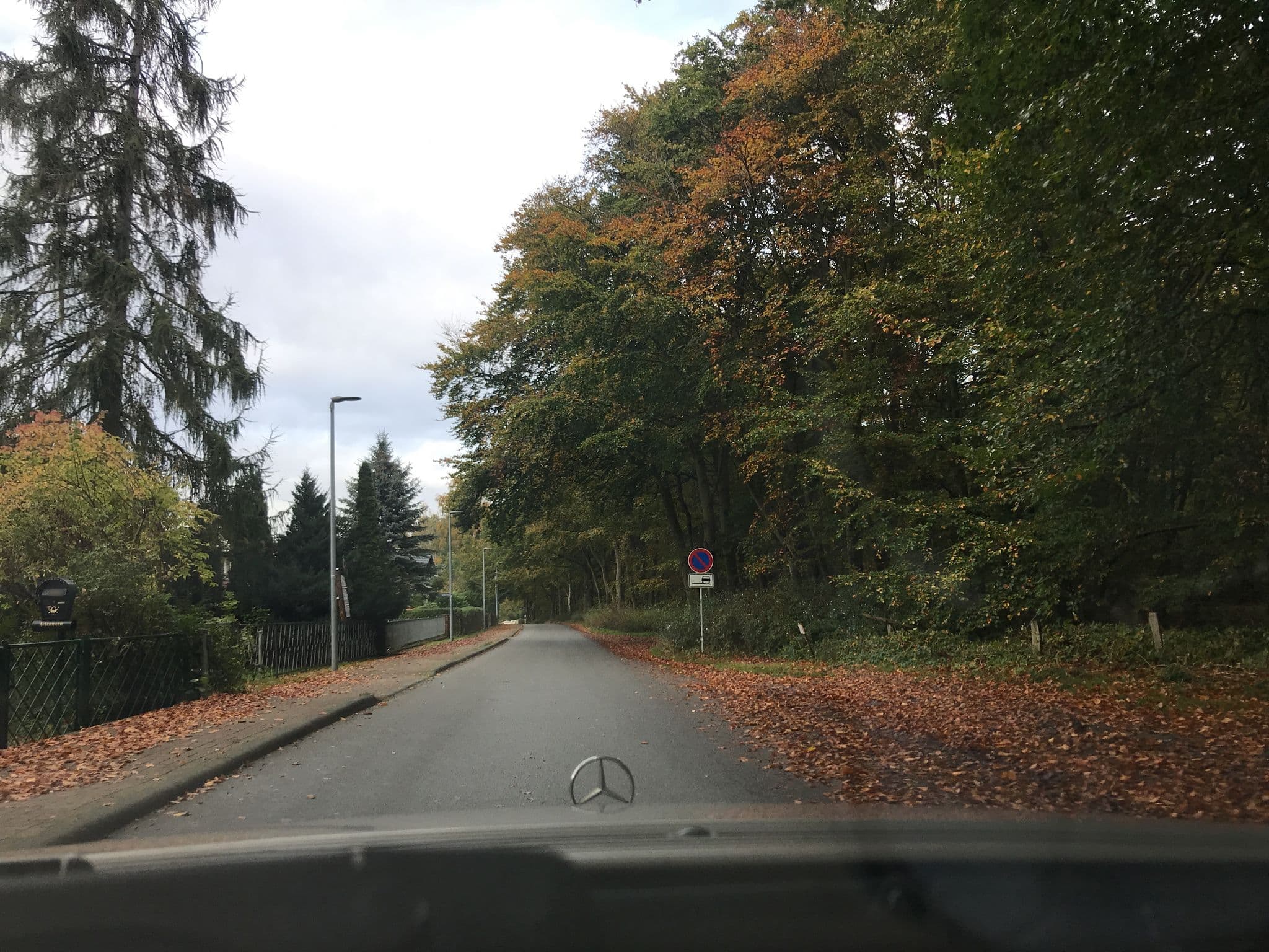Street view near Pension Nixe, Loddin — © saschahaberkorn (CC BY-SA · Mapillary)