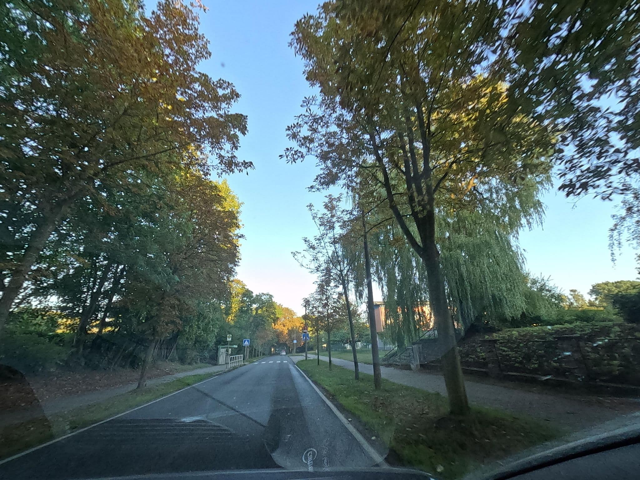 Street view near Kleeblatthaus Putbus Rügen, Putbus — © lienus96 (CC BY-SA · Mapillary)
