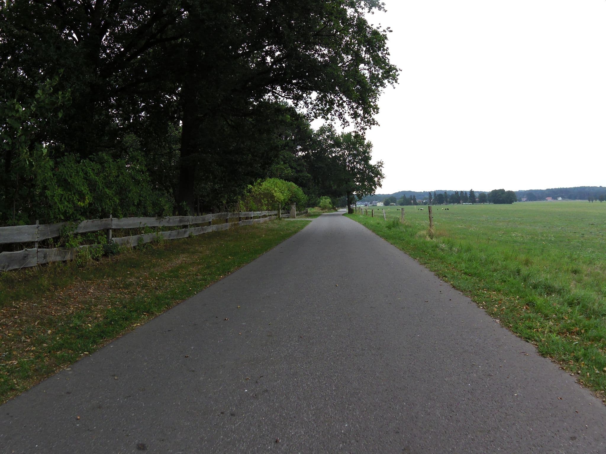 Street view near Ferienhaus Birgit, Seebad Heringsdorf — © zoegglmeyr (CC BY-SA · Mapillary)