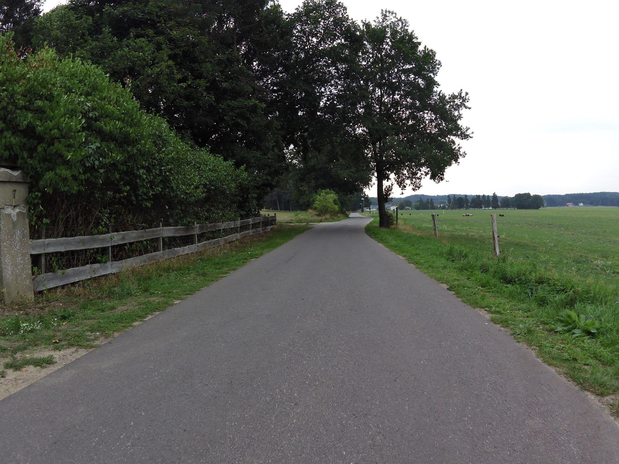 Street view near Appartement Sonnenpark 7, Seebad Heringsdorf — © zoegglmeyr (CC BY-SA · Mapillary)