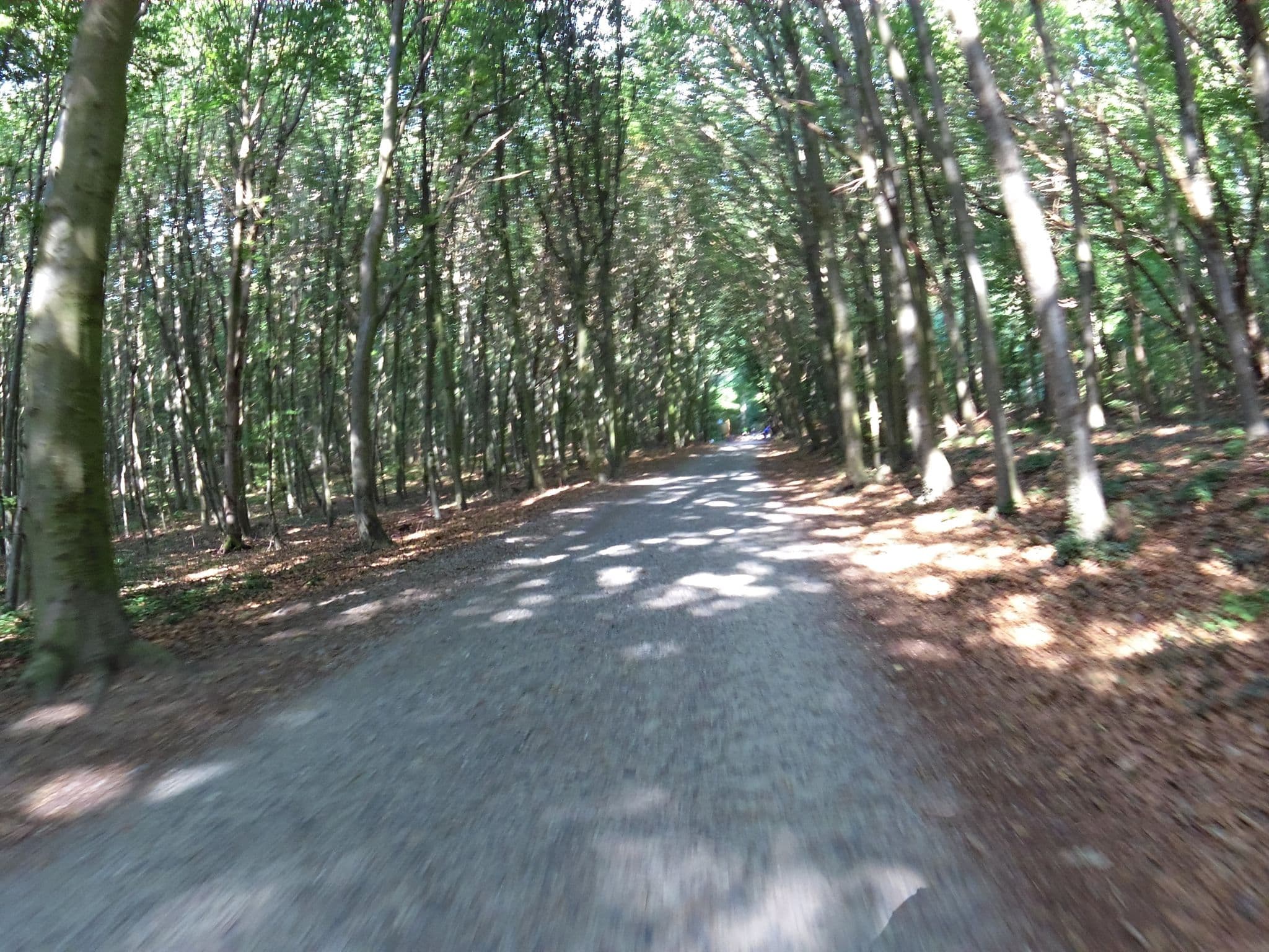 Street view near Vineta Ferienresidenz Usedom, Koserow — © zoegglmeyr (CC BY-SA · Mapillary)