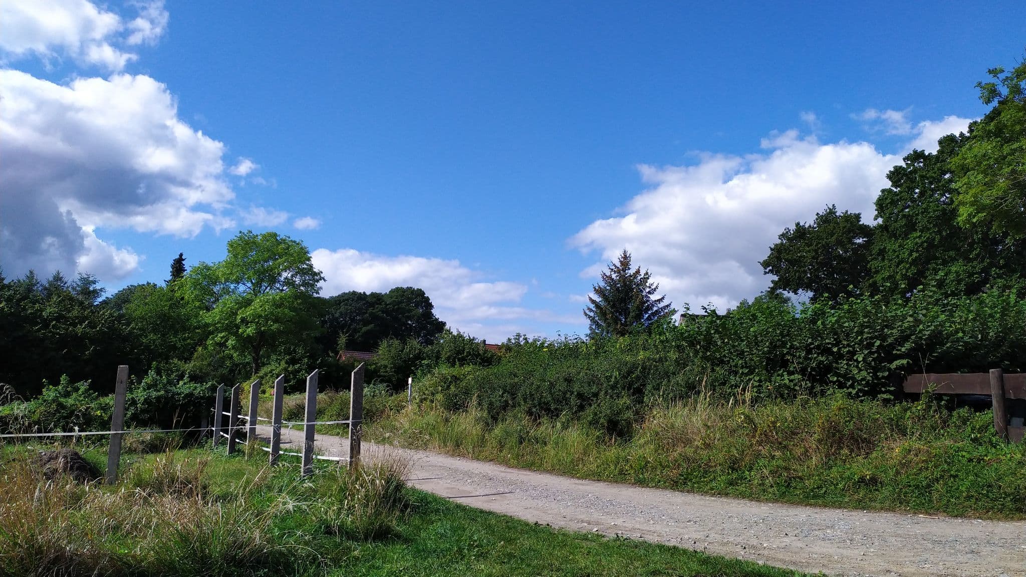 Street view near Landhaus Sandra, Lassan — © reihard1969 (CC BY-SA · Mapillary)