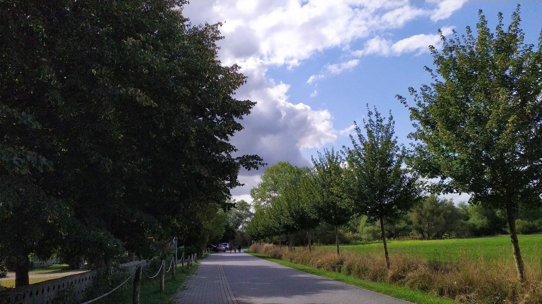 Street view near Möwenort Management UG, Lassan — © reihard1969 (CC BY-SA · Mapillary)