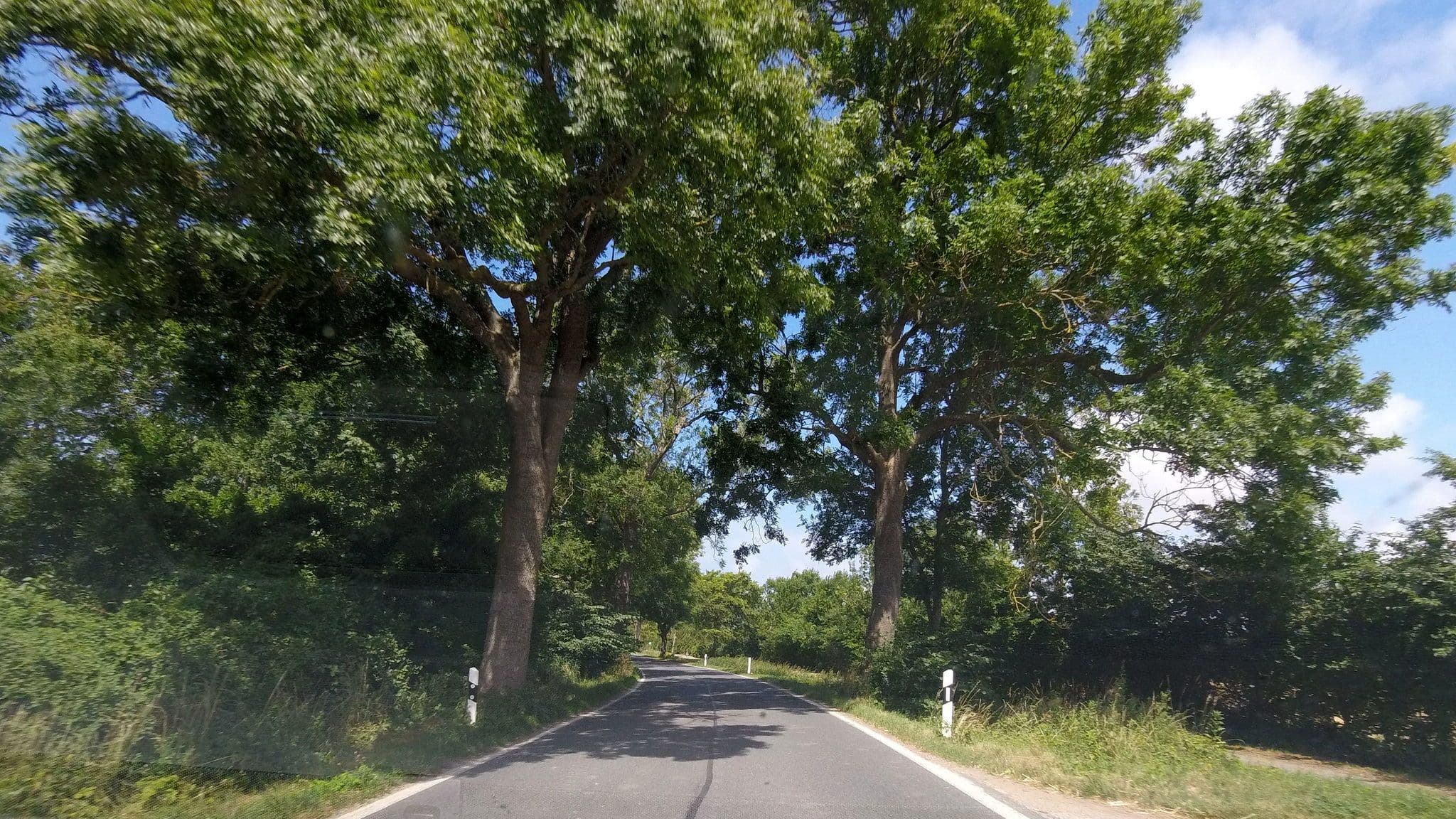 Street view near Altes Postmeisterhaus, Wiek — © fdmap (CC BY-SA · Mapillary)