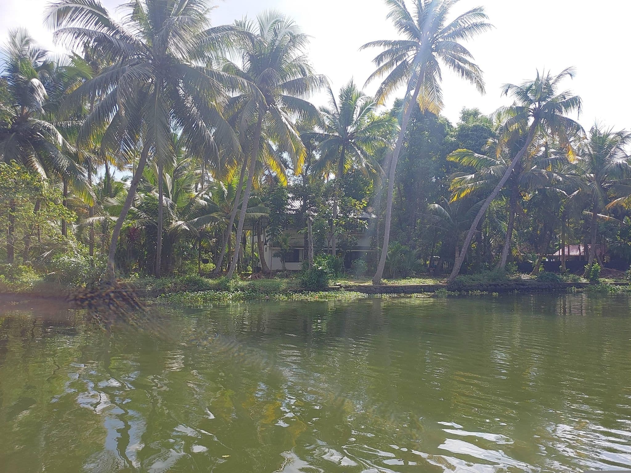 Street view near Green Island, Arukutti — © V15 (CC BY-SA · Mapillary)
