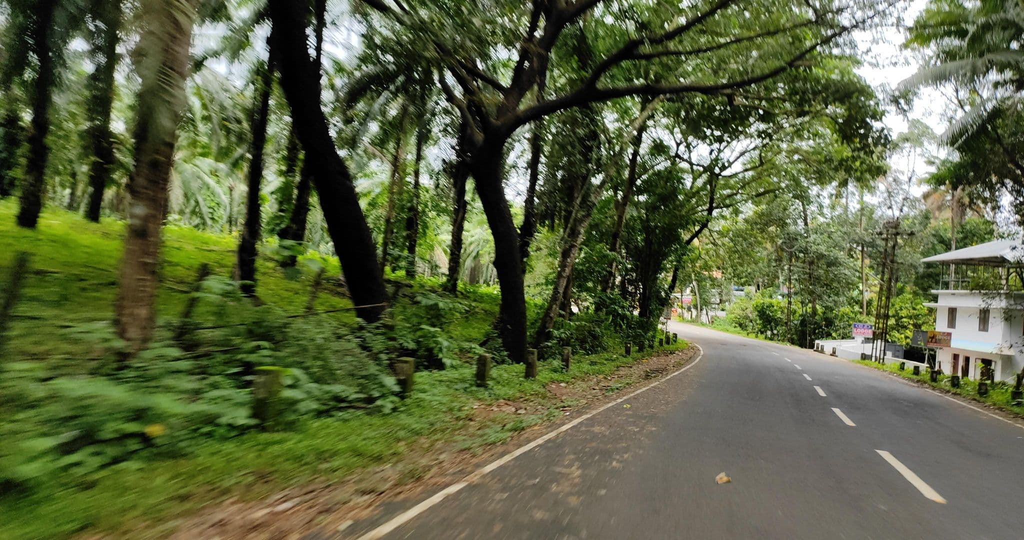 Street view near Hydel Palace Hotel and Resorts Athirappally, Koratti — © V15 (CC BY-SA · Mapillary)