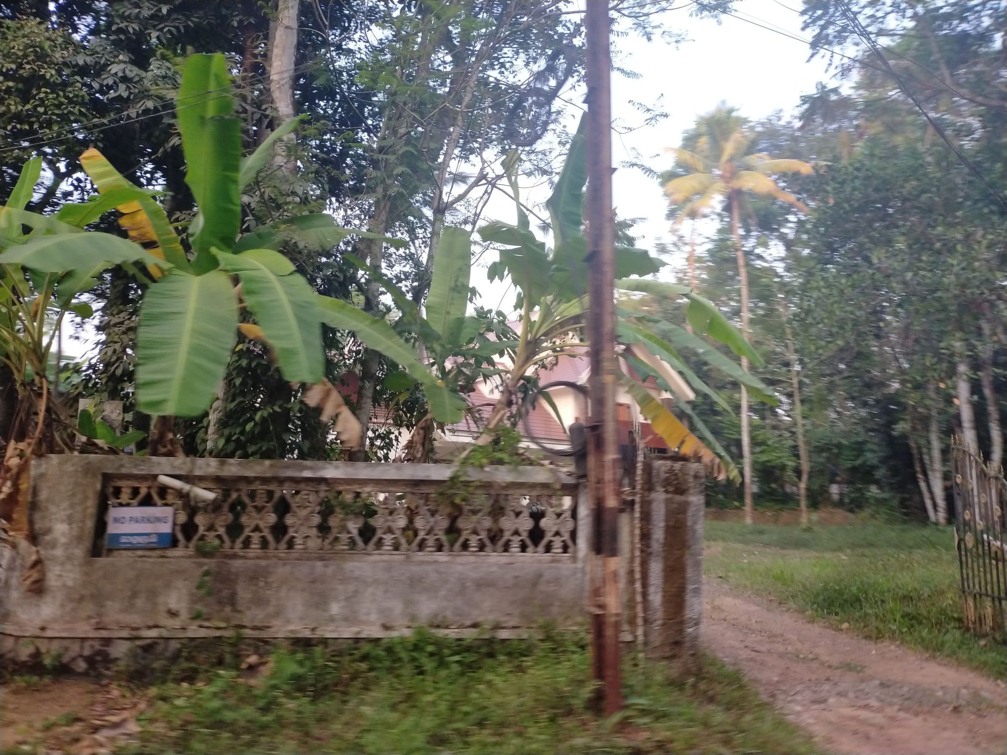 Street view near Vijaya park, Ettumānūr — © aneetashajan (CC BY-SA · Mapillary)
