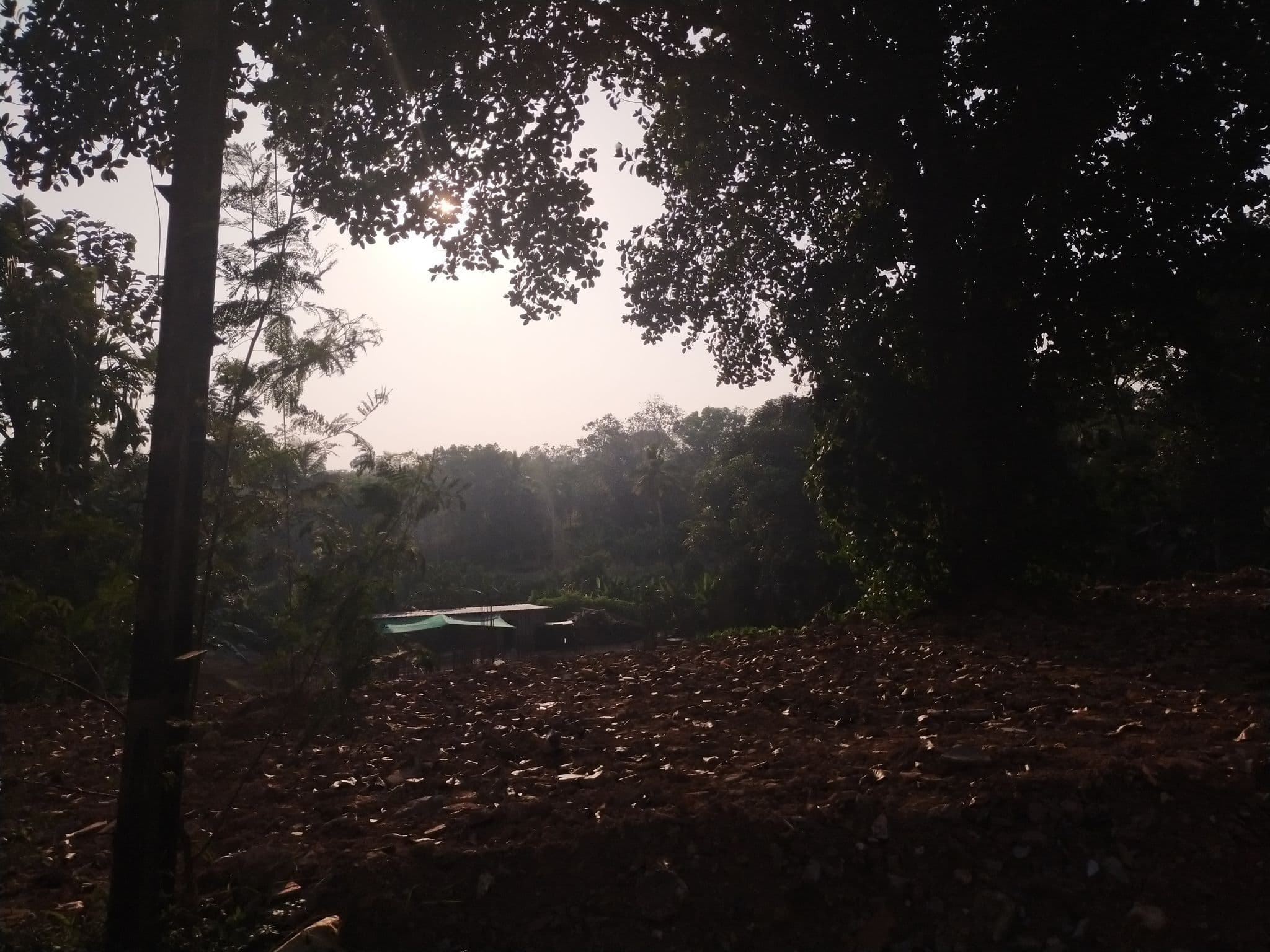 Street view near Beeza Clubhouse, Ettumānūr — © aneetashajan (CC BY-SA · Mapillary)