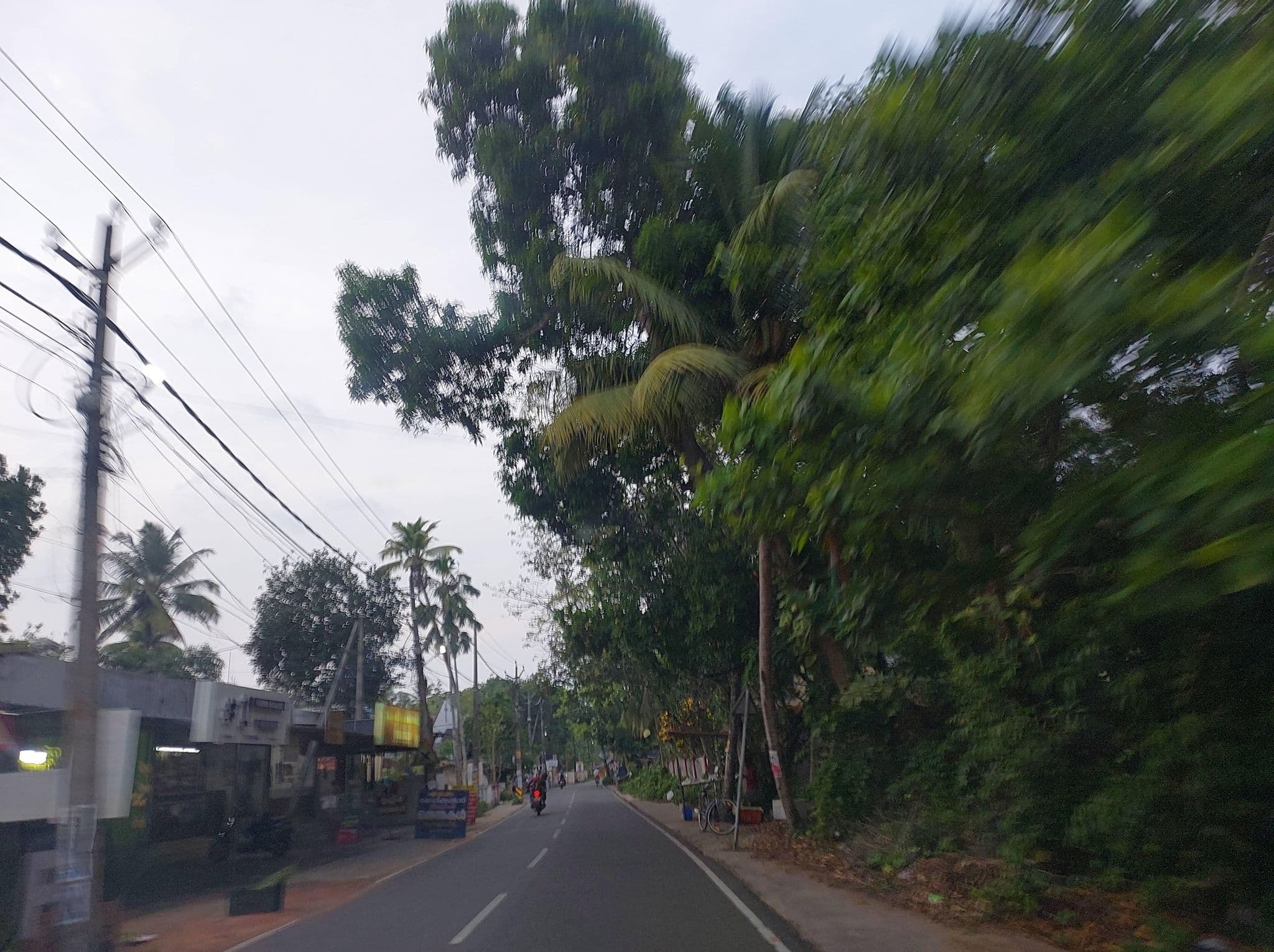 Street view near Marari White Home, Pathirappally — © V15 (CC BY-SA · Mapillary)