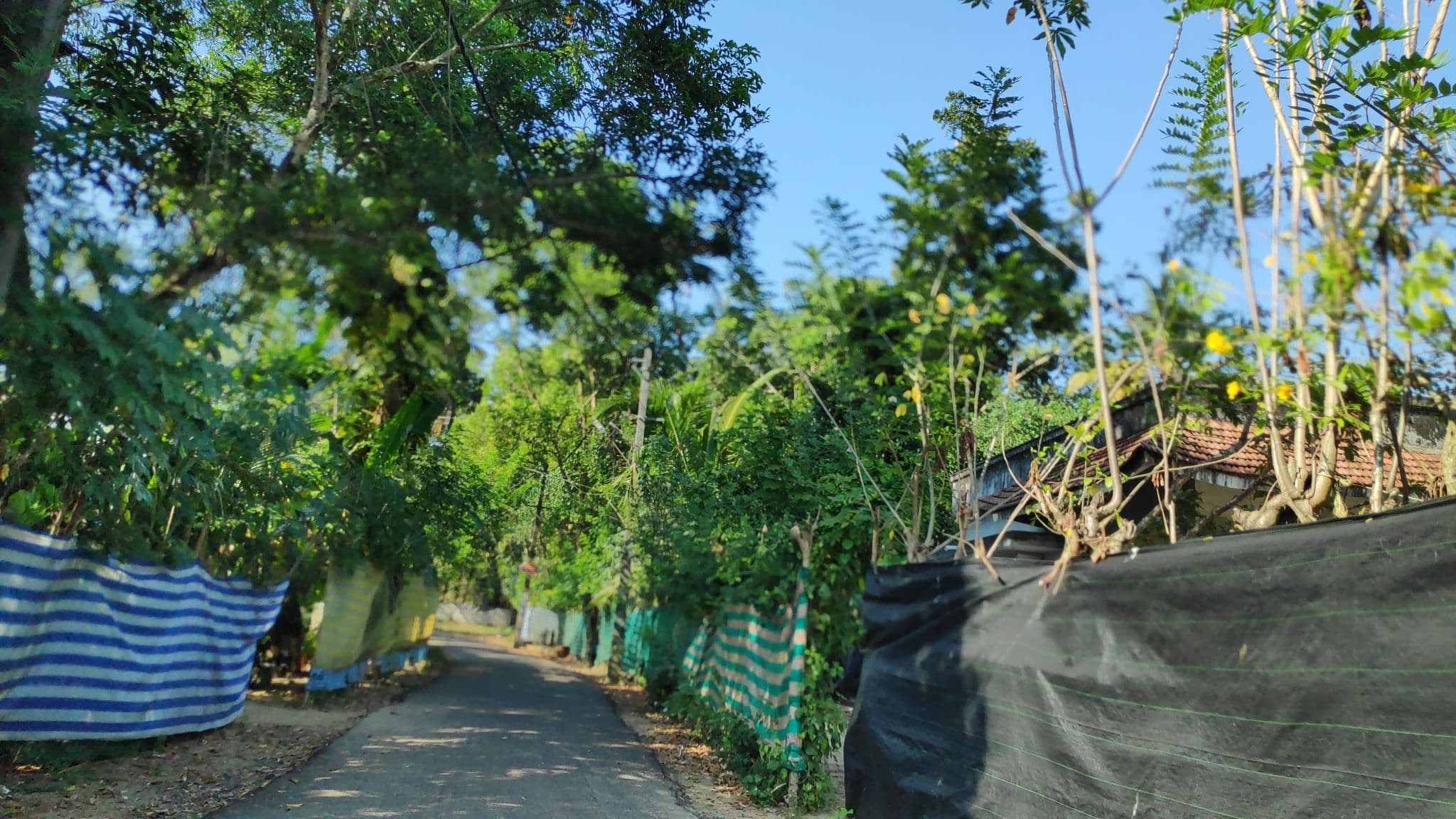Street view near Marari Sea Shore Homestay, Pathirappally — © V15 (CC BY-SA · Mapillary)