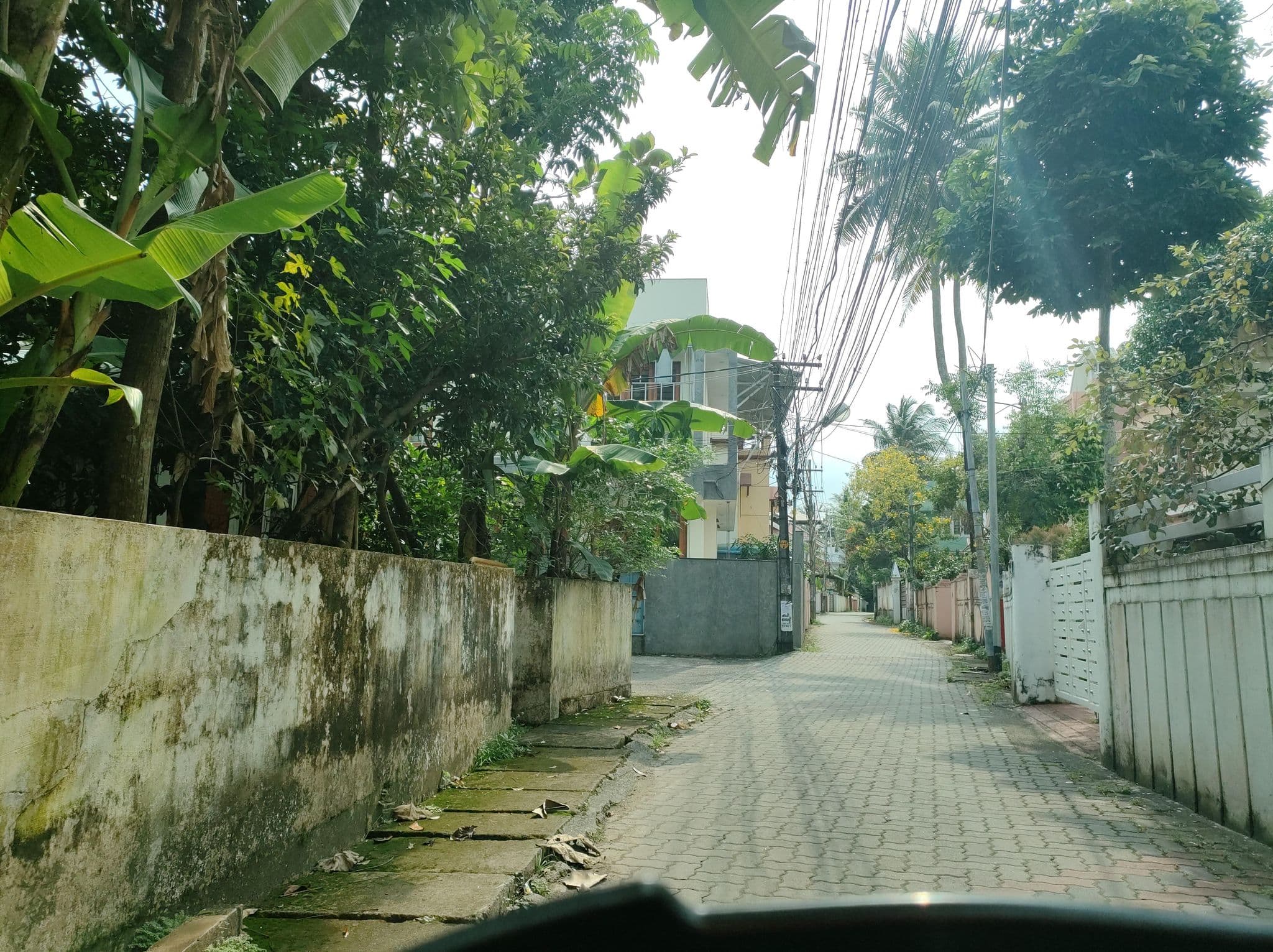 Street view near YMCA International Youth Center, Vazhakkala — © jothishbabu (CC BY-SA · Mapillary)