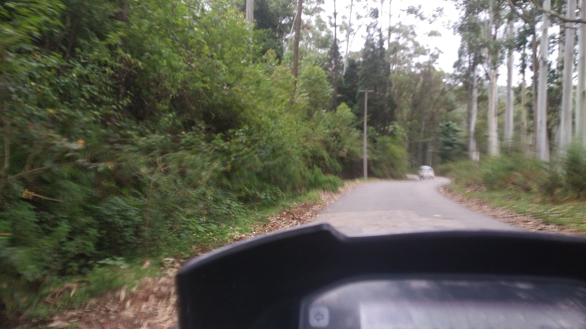 Street view near Pavitram Holiday Inn, Munnar — © jothishbabu (CC BY-SA · Mapillary)