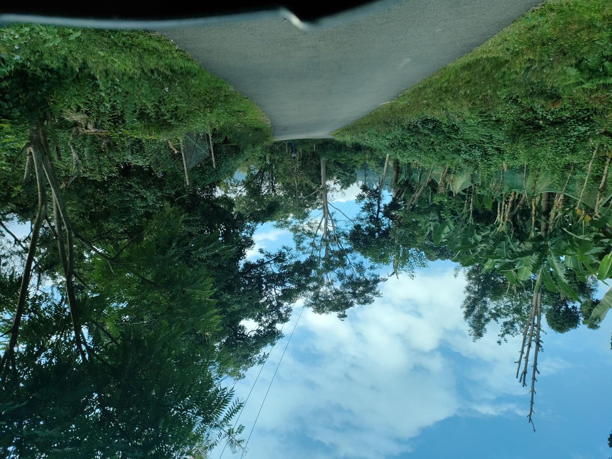 Street view near Tulip Villa, Kodaikānāl — © jothishbabu (CC BY-SA · Mapillary)