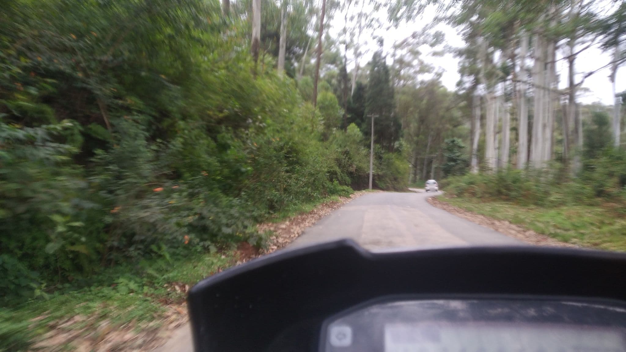 Street view near Spring Dale Resort, Munnar — © jothishbabu (CC BY-SA · Mapillary)