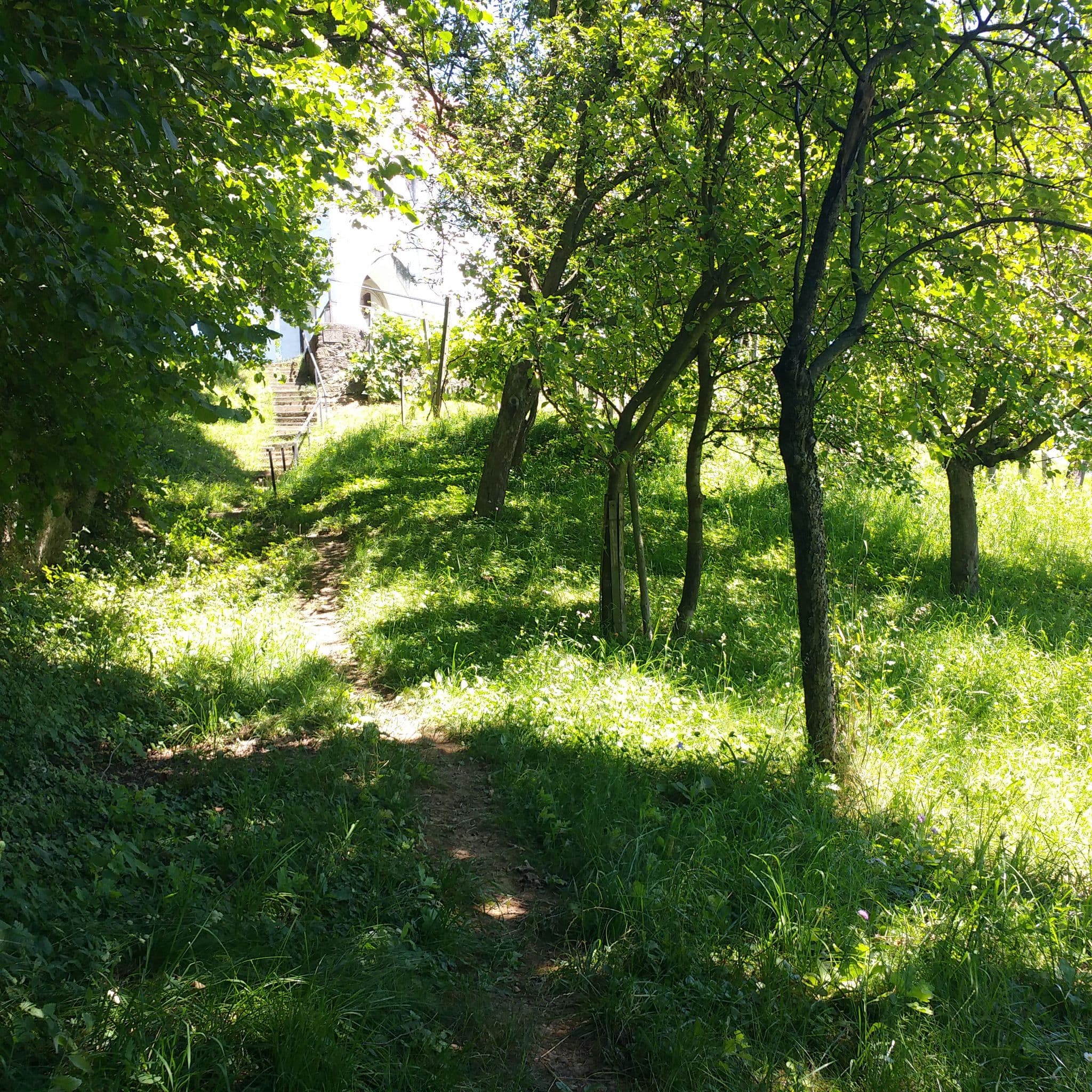 Street view near Gasthof Georgiwirt, Gleinstätten — © hermannmucke (CC BY-SA · Mapillary)