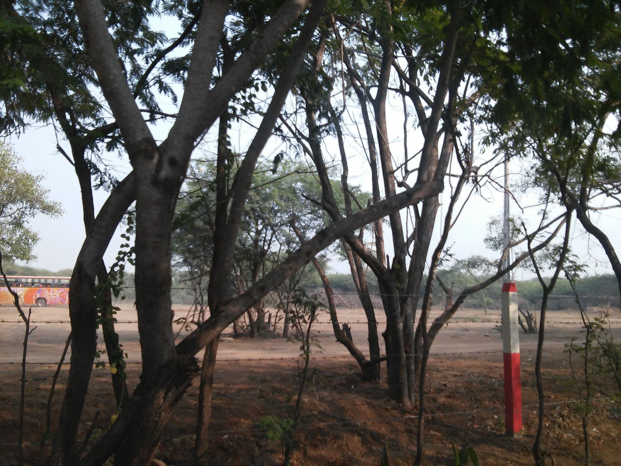 Street view near Vijay Vilas Heritage Resort, Māndvi — © shravan91 (CC BY-SA · Mapillary)