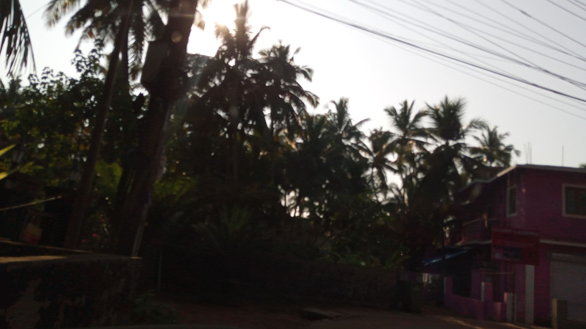 Street view near Maggies, Calangute — © pradeepbv (CC BY-SA · Mapillary)