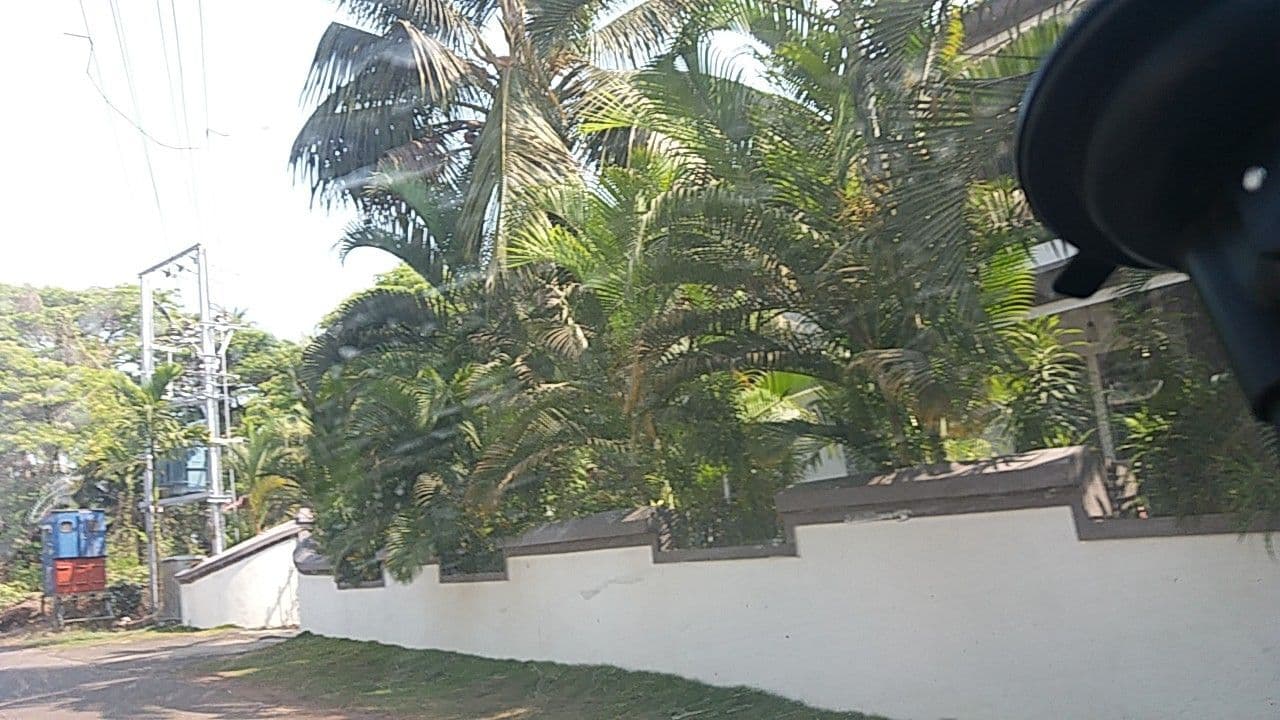 Street view near Cotas Guest House, Nuvem — © rdlf19051985 (CC BY-SA · Mapillary)