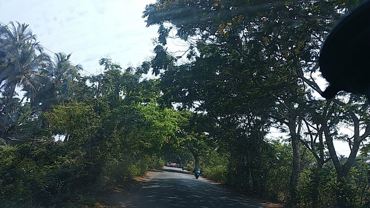 Street view near Nakita, Calangute — © rdlf19051985 (CC BY-SA · Mapillary)