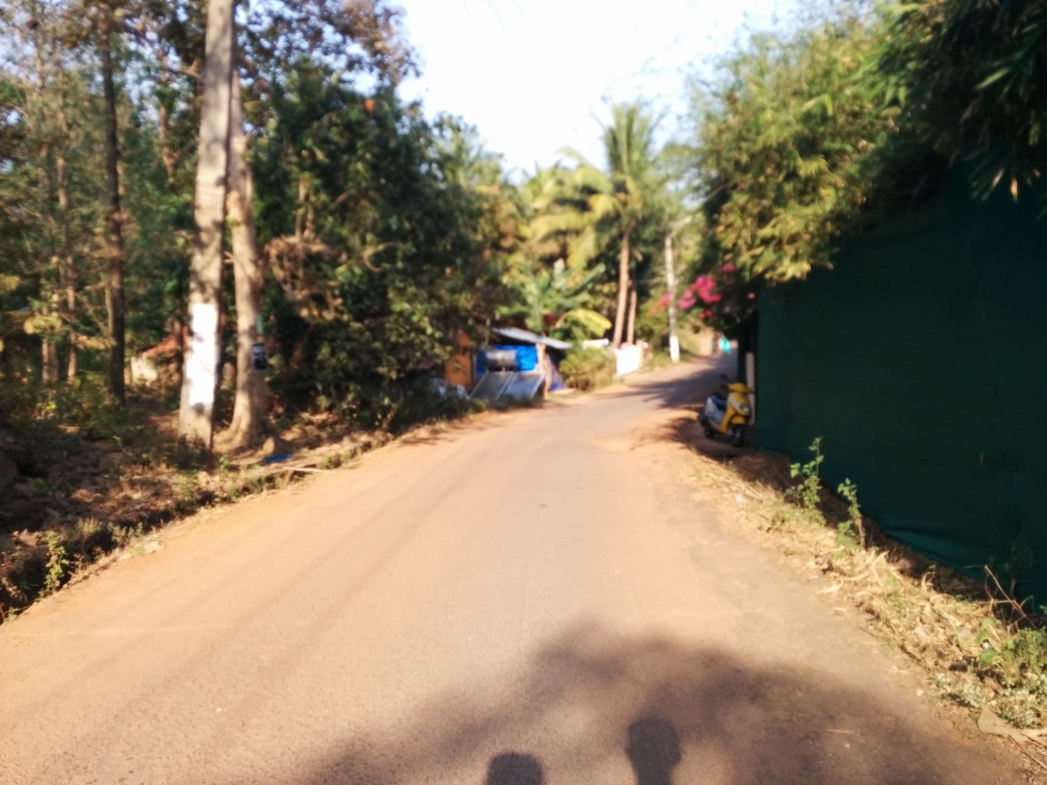 Street view near The Chill Inn Restaurant and Luxury Hut's, Canacona — © sashazykov (CC BY-SA · Mapillary)
