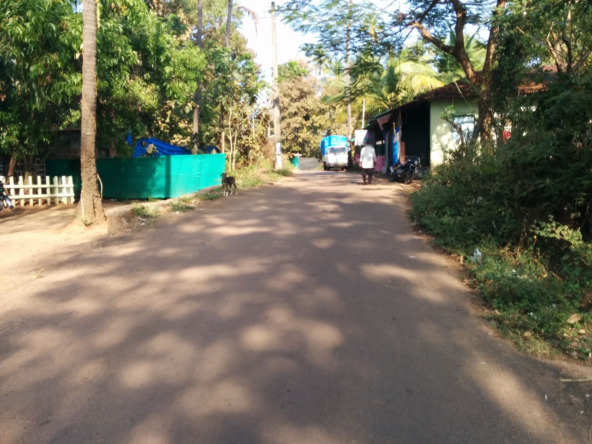 Street view near The Funky Monkey, Canacona — © sashazykov (CC BY-SA · Mapillary)