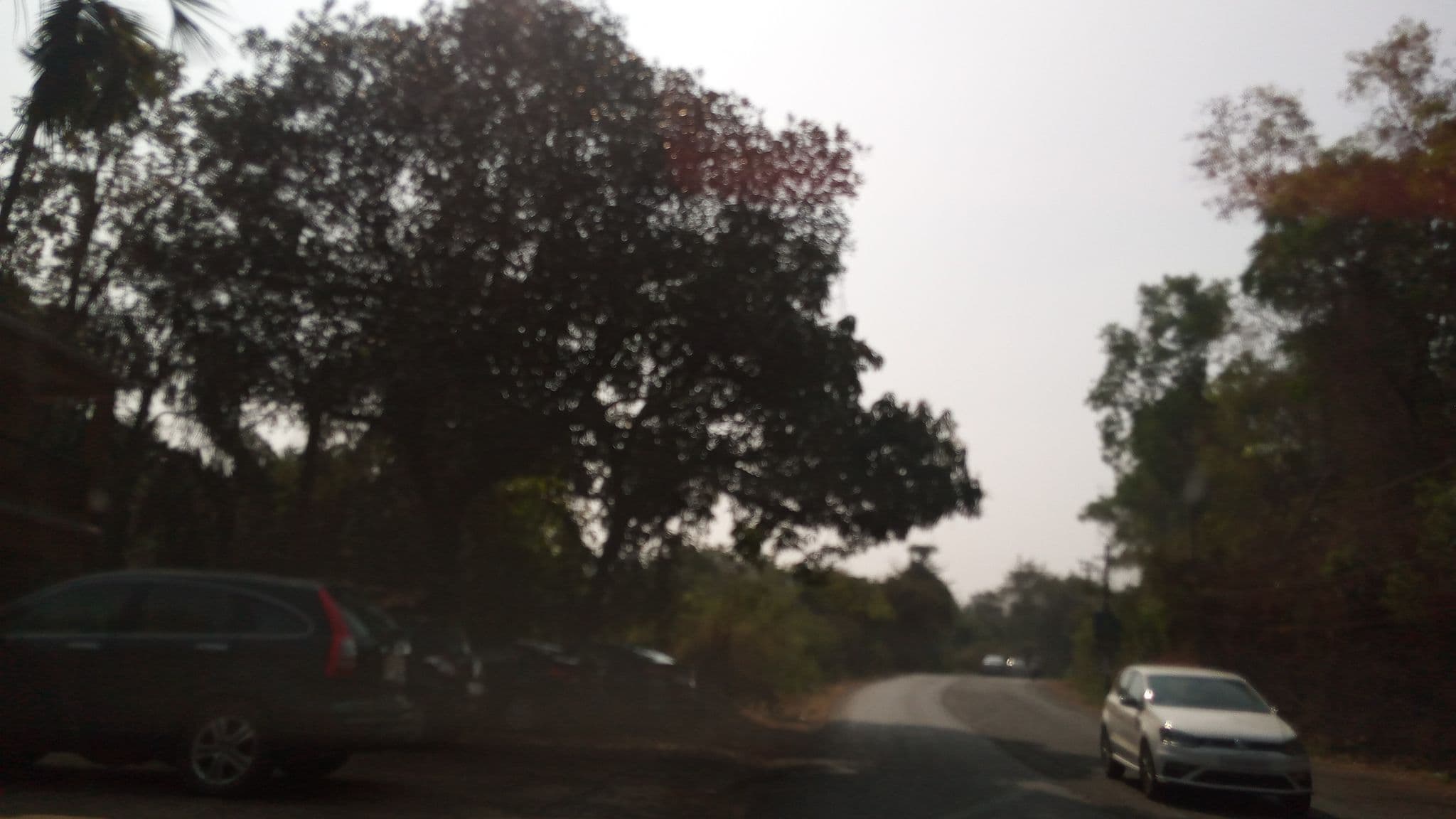 Street view near Surya Sangolda, Pilerne — © pradeepbv (CC BY-SA · Mapillary)