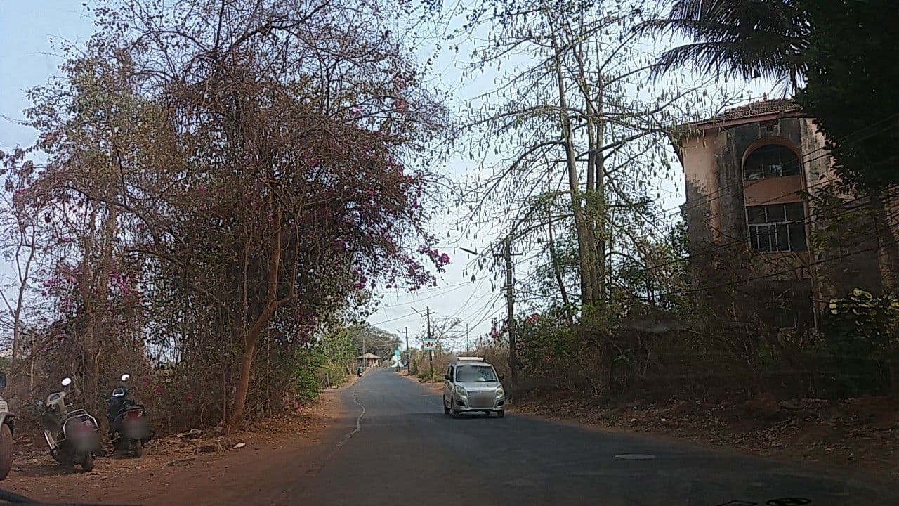 Street view near Syscotel, Taleigao — © rdlf19051985 (CC BY-SA · Mapillary)