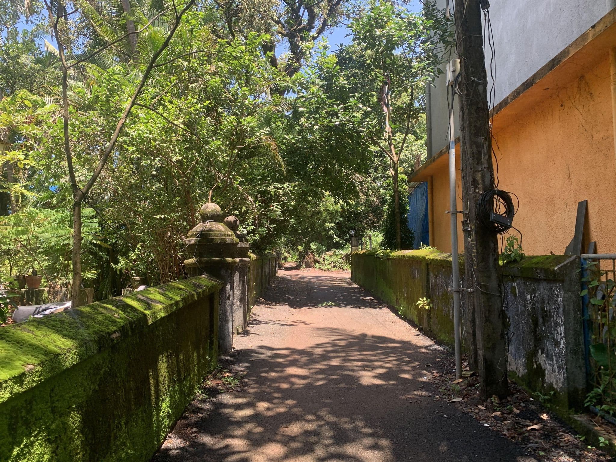 Street view near The Red Lion, Anjuna — © planemad (CC BY-SA · Mapillary)